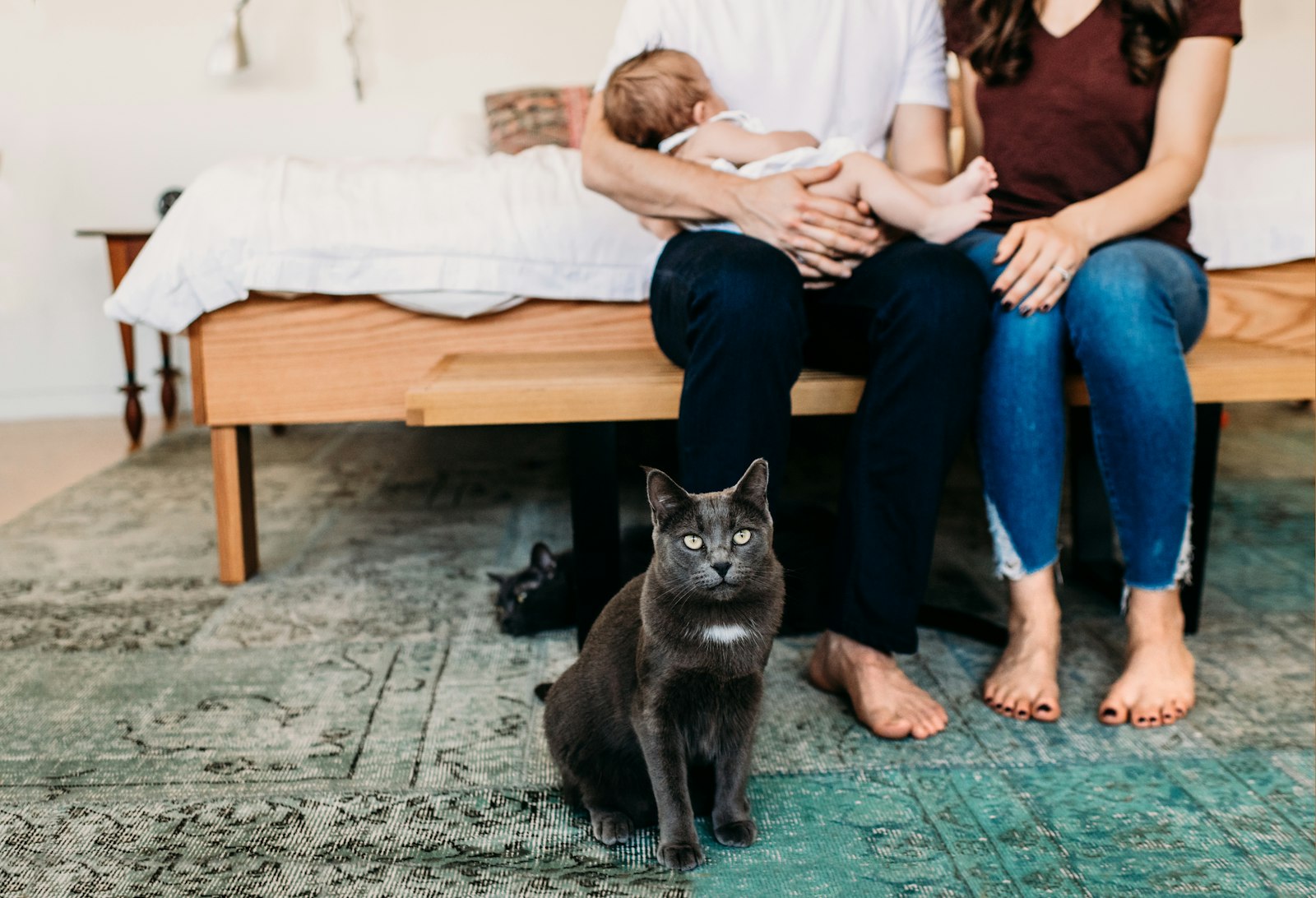 Nikon D850 + Nikon AF-S Nikkor 35mm F1.4G sample photo. Short-haired black cat photography