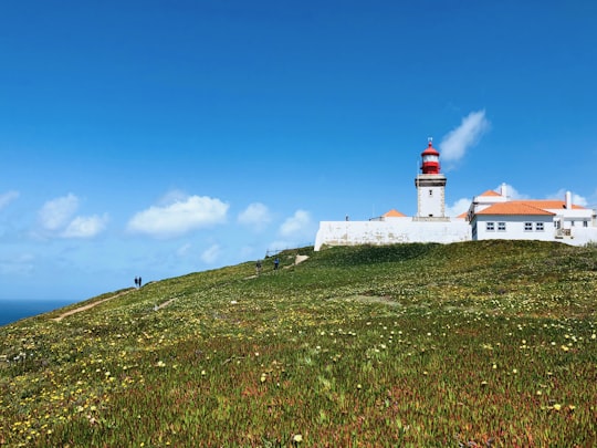 white tower under blue sky in Sintra-Cascais Natural Park Portugal