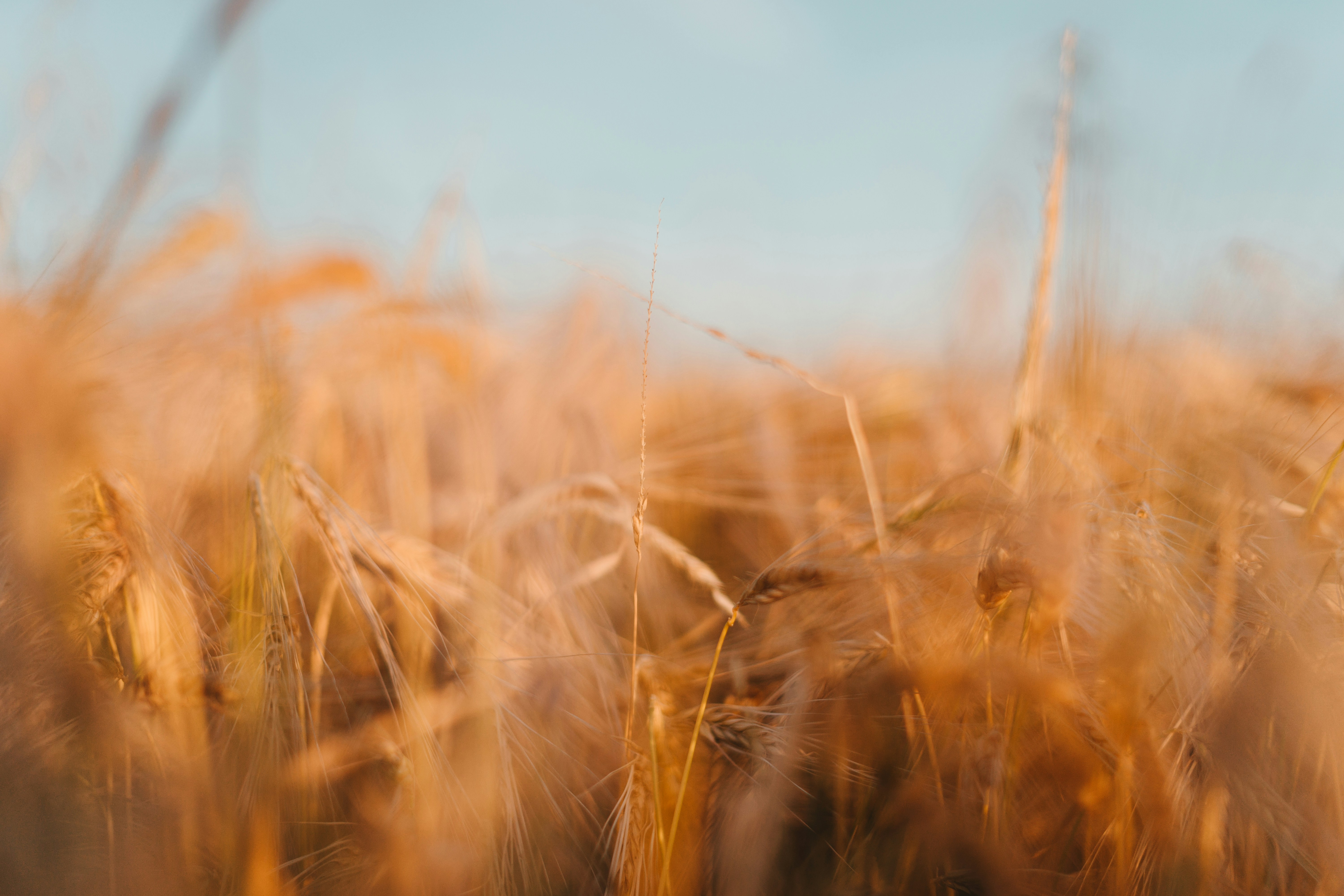 Photo by julianhochgesang