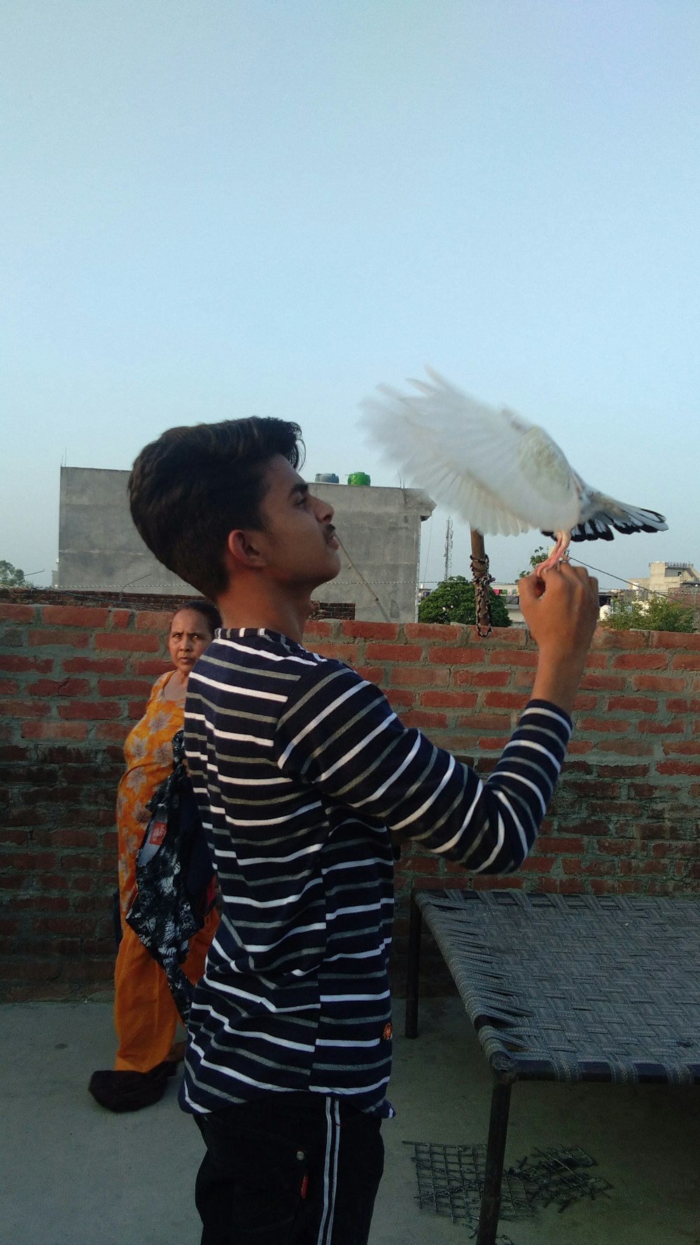 boy with white bird on hand