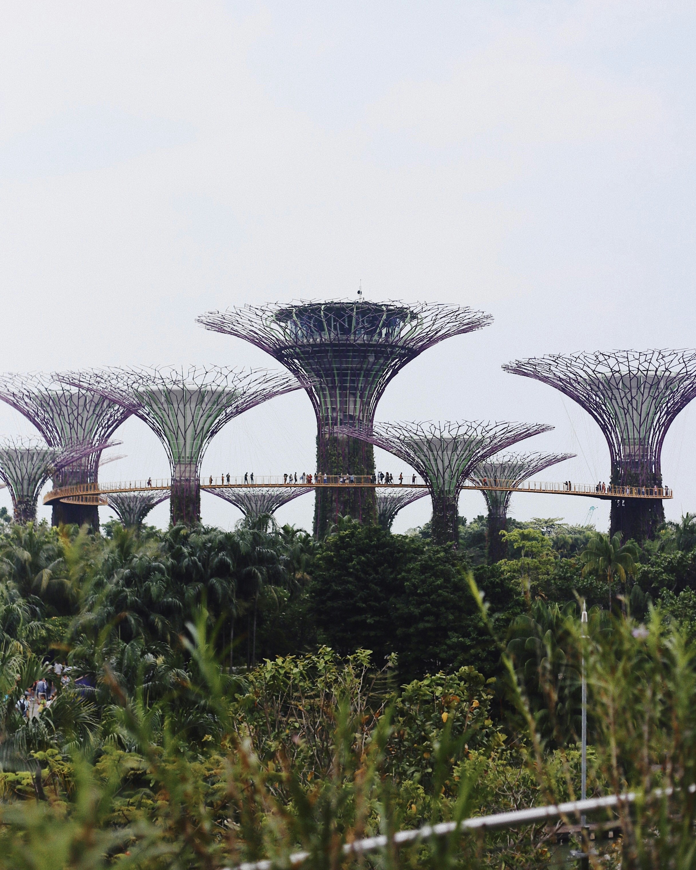 Singapore | Visit These Top Travel Destinations in Asia
