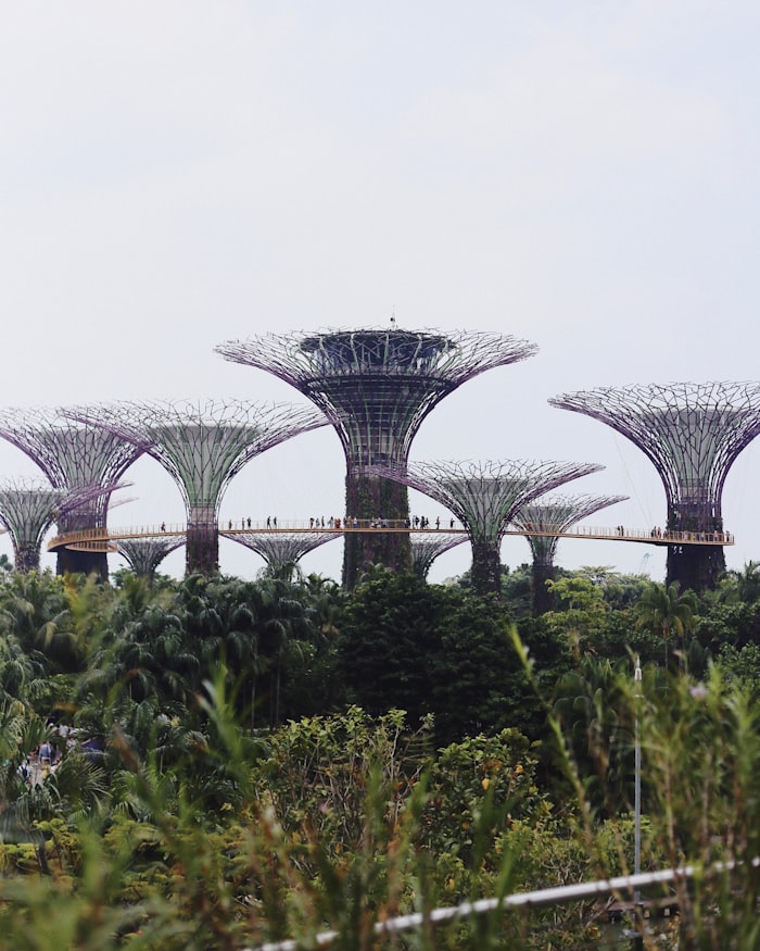 Singapore | Visit These Top Travel Destinations in Asia