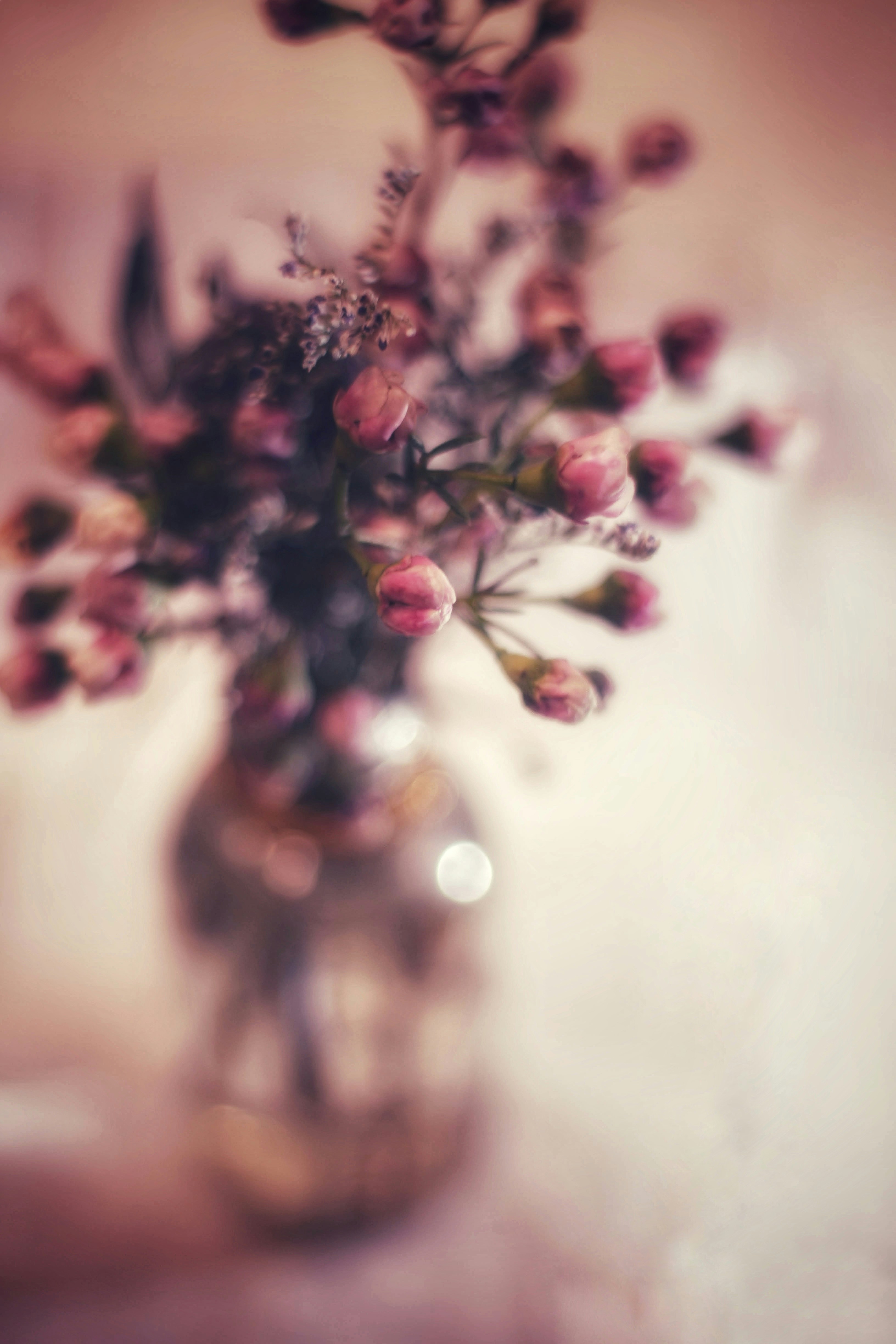 Photo by joshua_hoehne