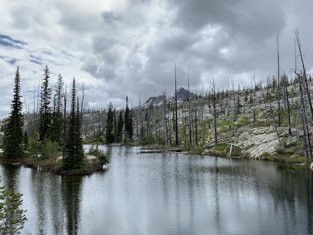 calm body of water at daytime