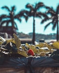 A close-up view of a strawberry plant with one ripe red strawberry and an unripe green one among lush leaves. In the background, there are silhouettes of palm trees under a clear blue sky, suggesting a warm and tropical climate.