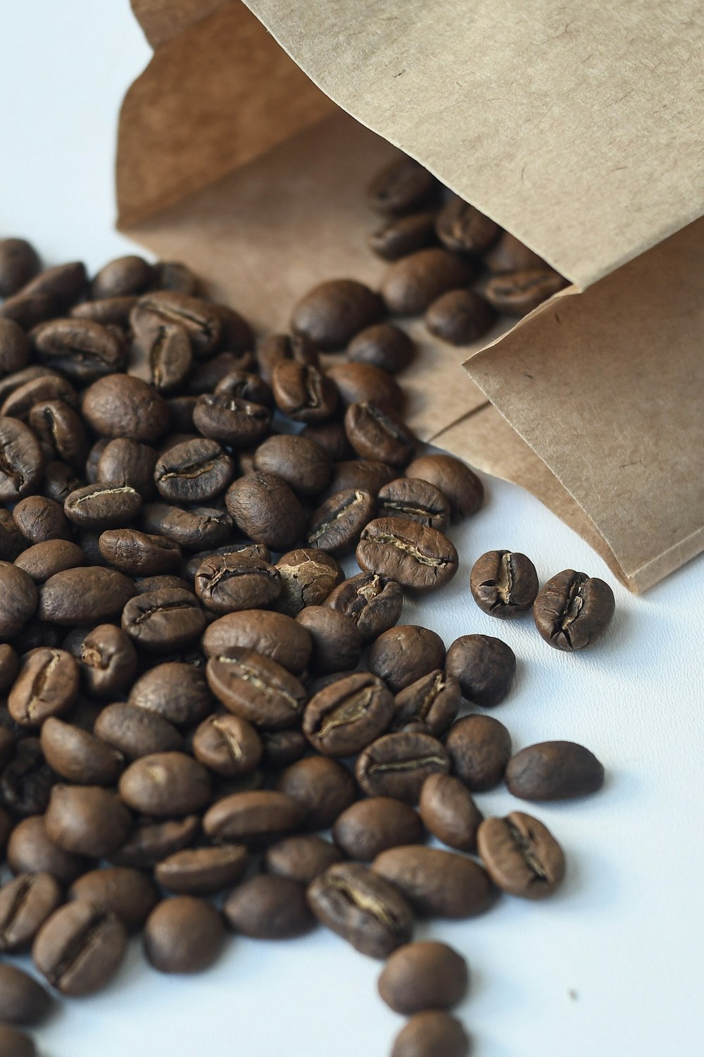 coffee beans on white surface and in paper bag on it's side