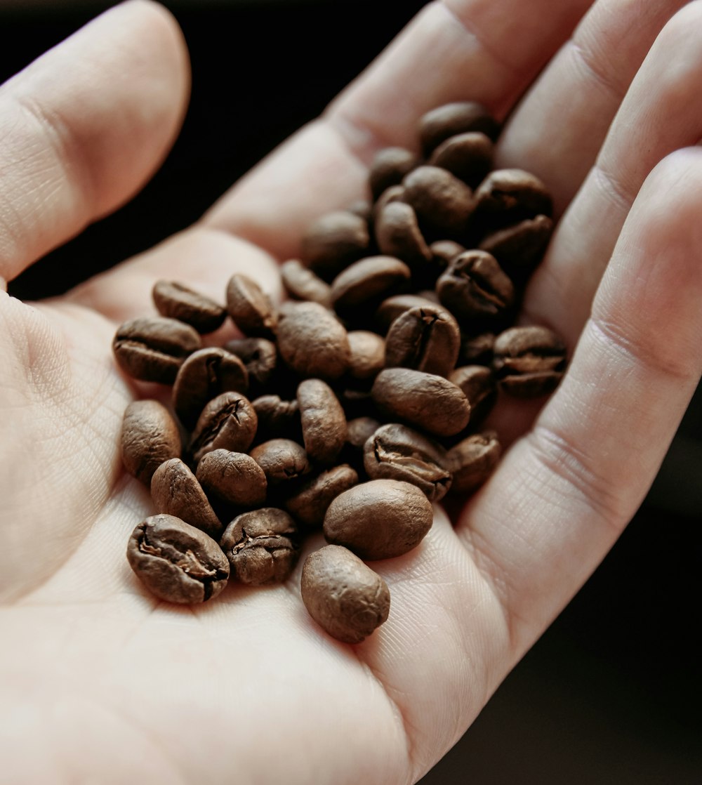 brown coffee beans