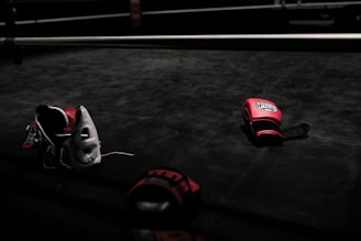 pair of red boxing gloves