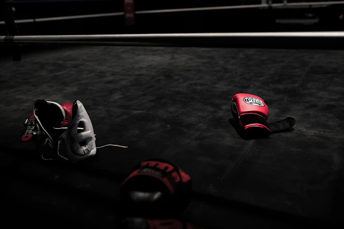 A pair of boxing gloves