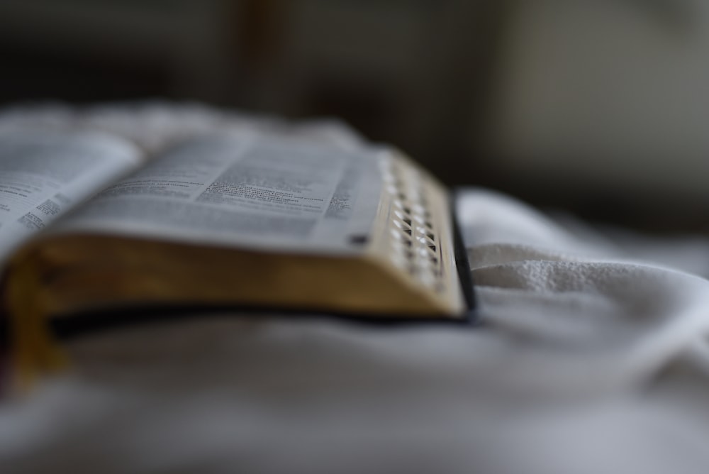 black-covered bible