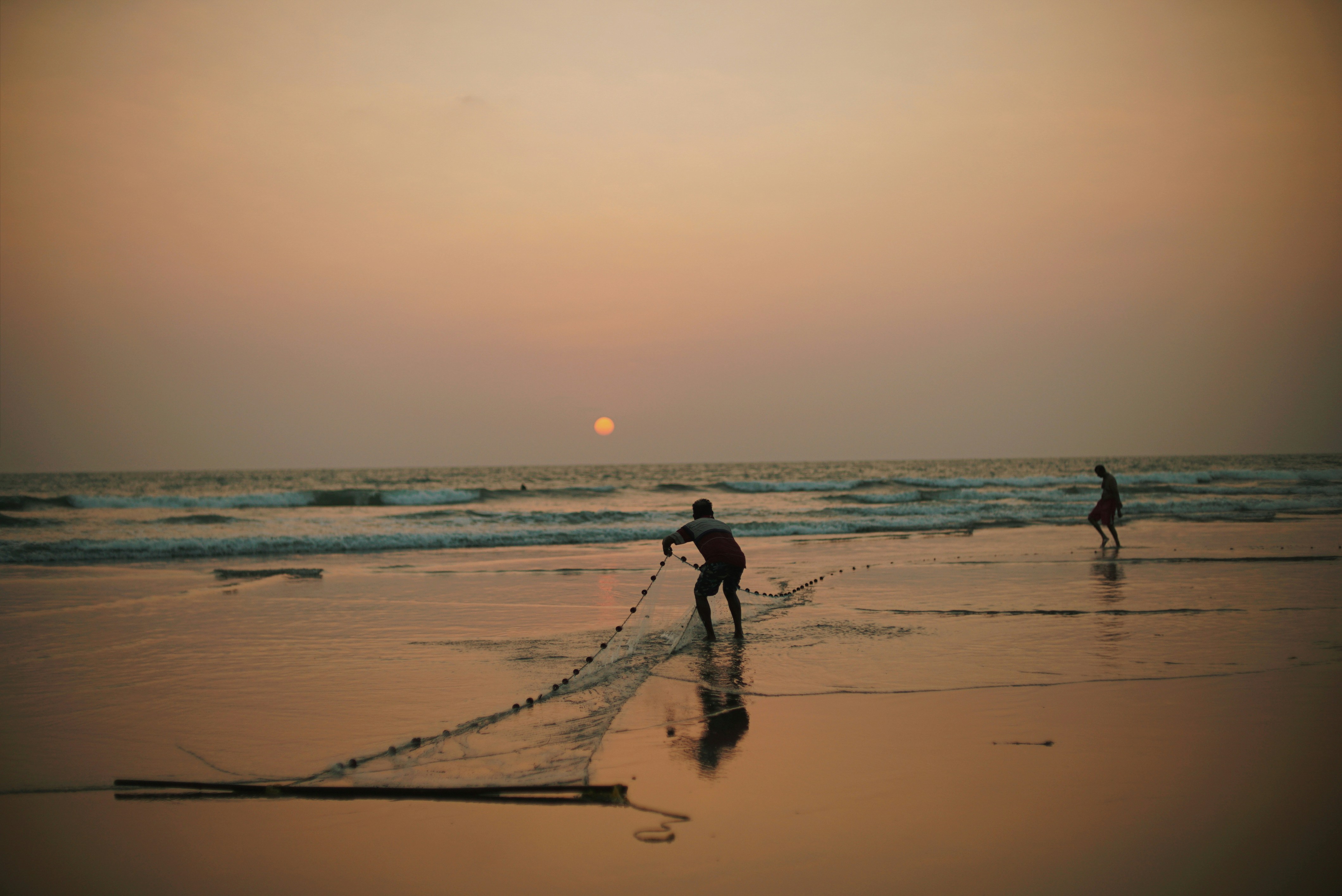 Photo by karl_janisse