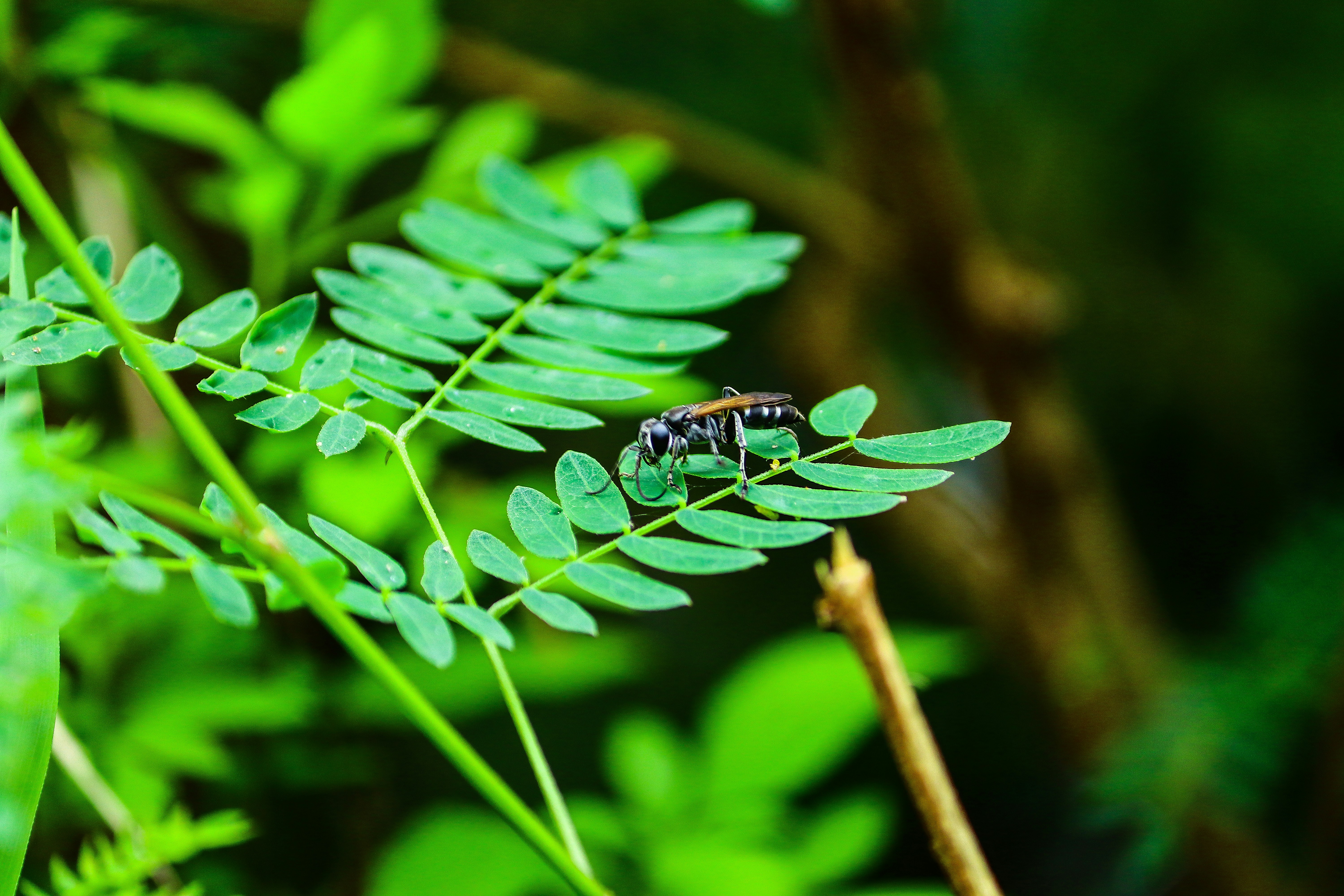 photo 1561533617 216cbdea9fc9?ixlib=rb 4.0