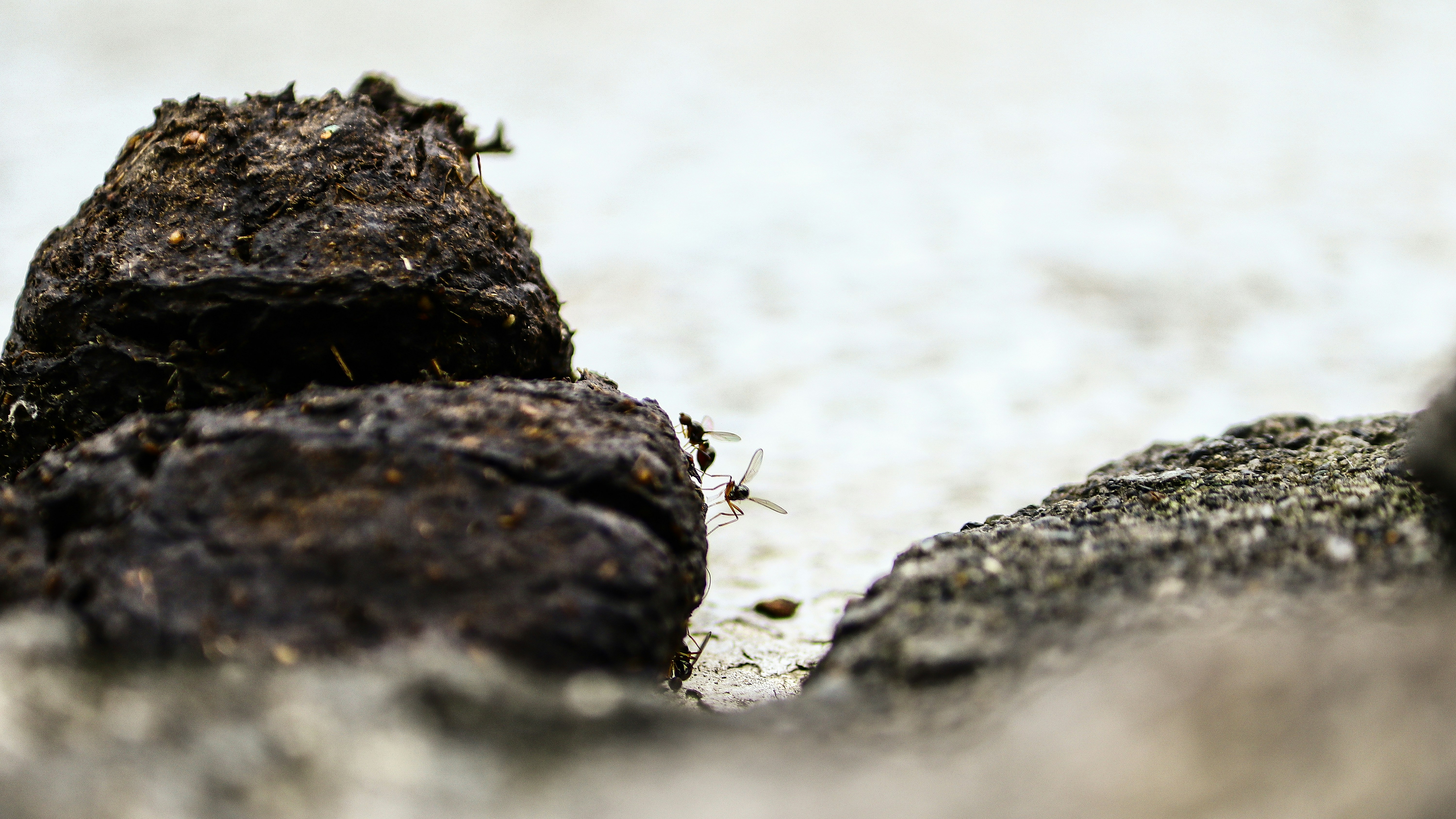 Photo by curry_magic02