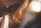 A close-up of hair styled beautifully shining under soft light.