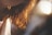 A close-up of healthy hair with vibrant shine under natural light.