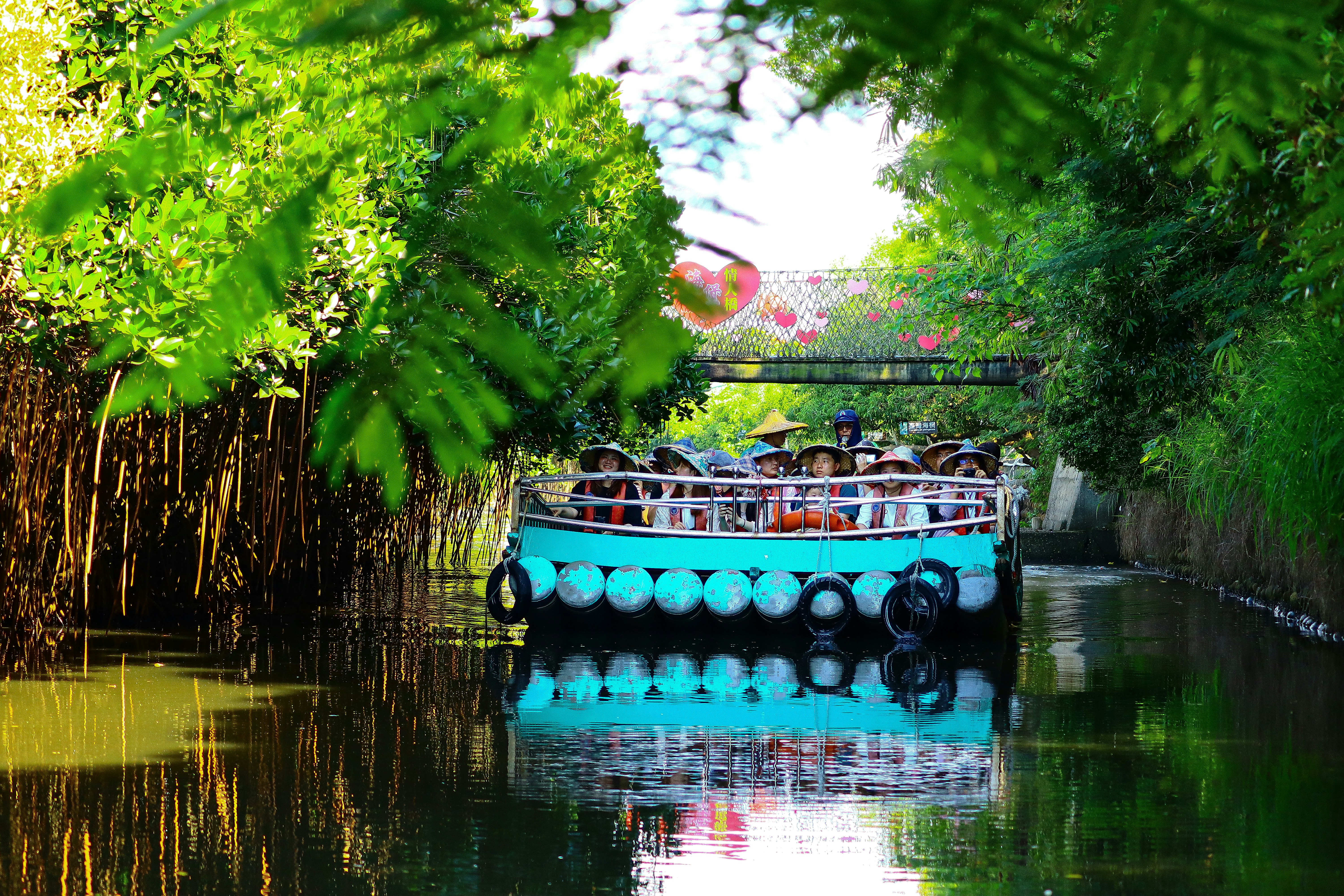 Photo by curry_magic02