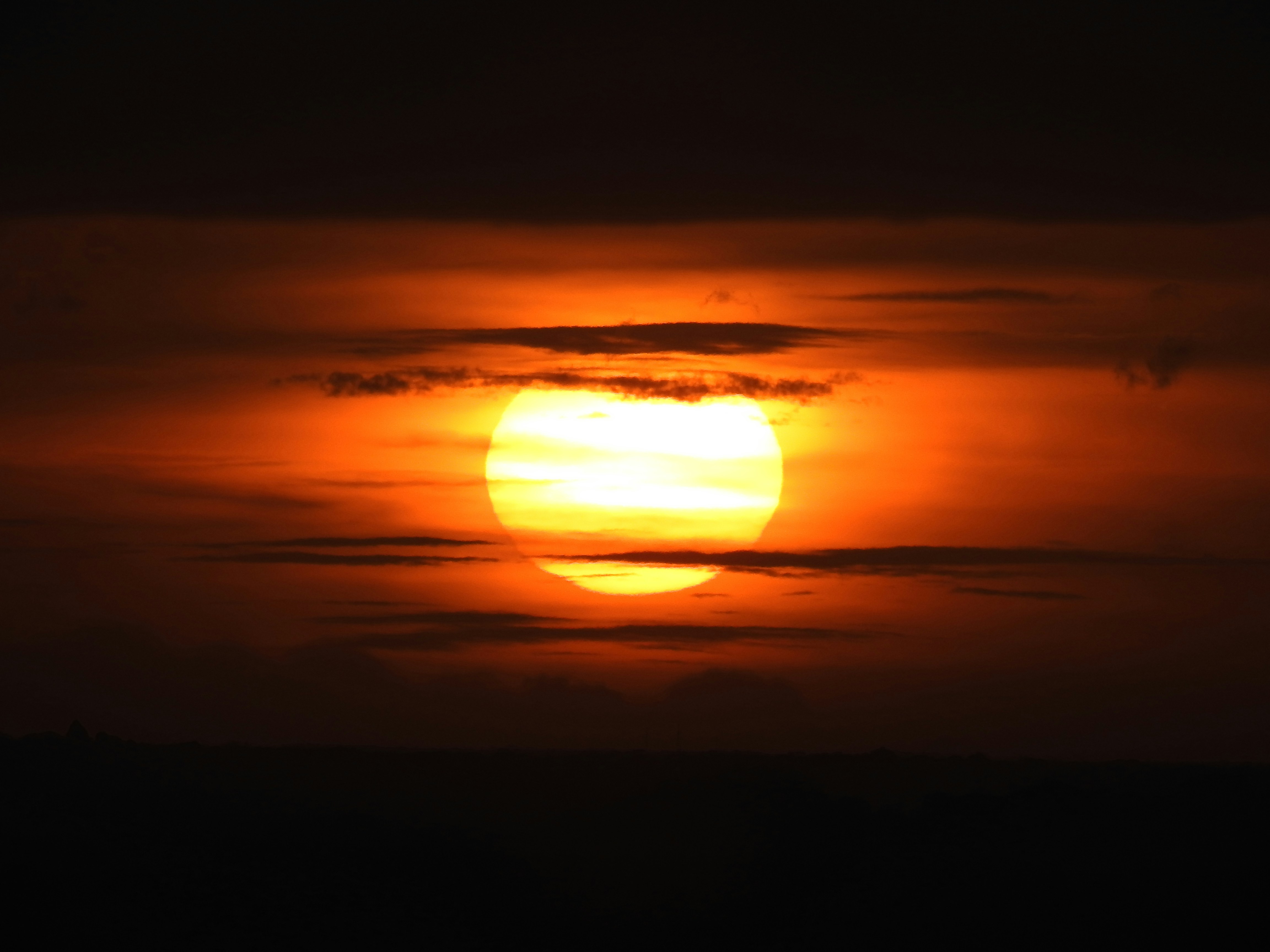 Photo by damithdarshana