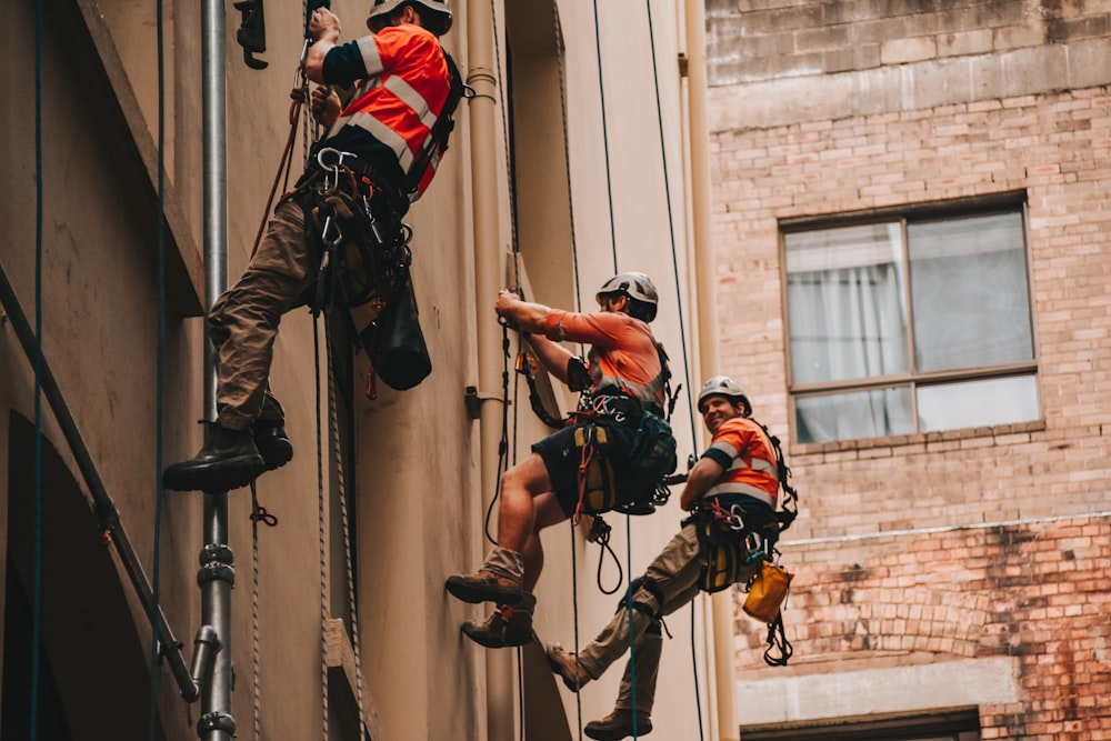 people climbing using rope during daytime