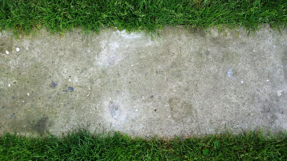concrete pathway beside grass