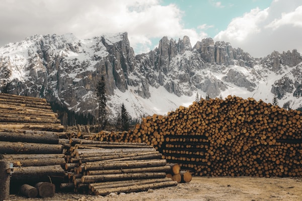 A large stack of cut logs is neatly arranged in front of a dramatic backdrop of snow-capped mountains. The massive, jagged peaks rise majestically, partially covered with evergreen trees. The sky is partially cloudy, casting a muted light over the scene. The landscape conveys a sense of wilderness and industry, with the logs indicating recent forestry work.