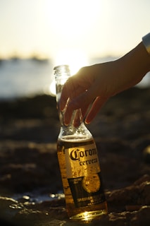 Close-up of a hand holding a cold beer bottle with condensation on a sunny day