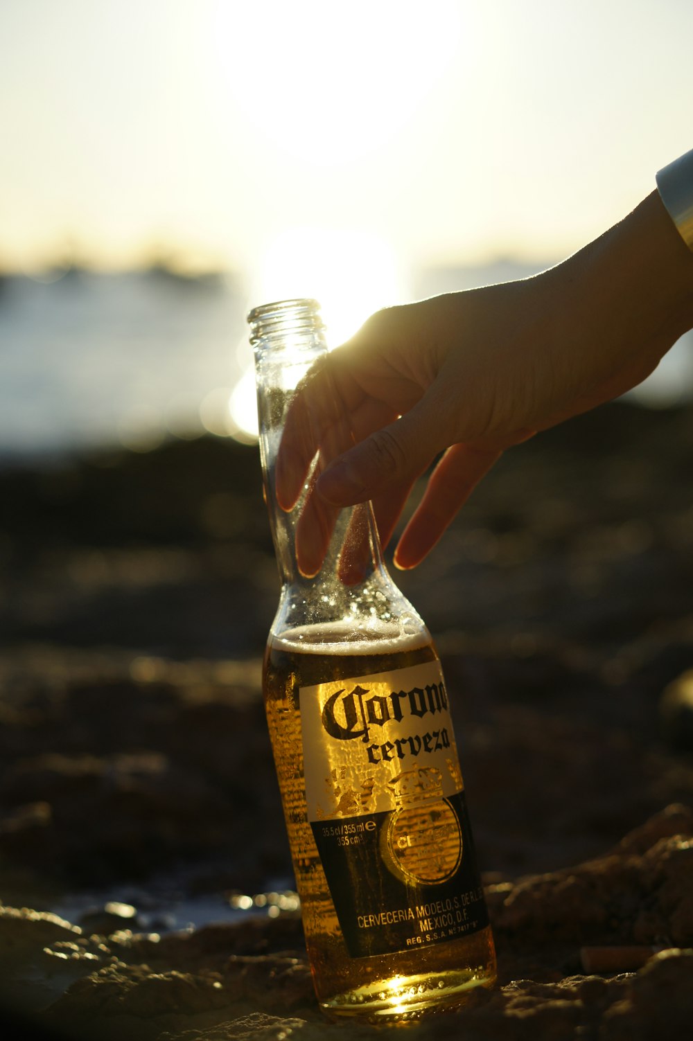 persona sosteniendo una botella de cerveza Corona