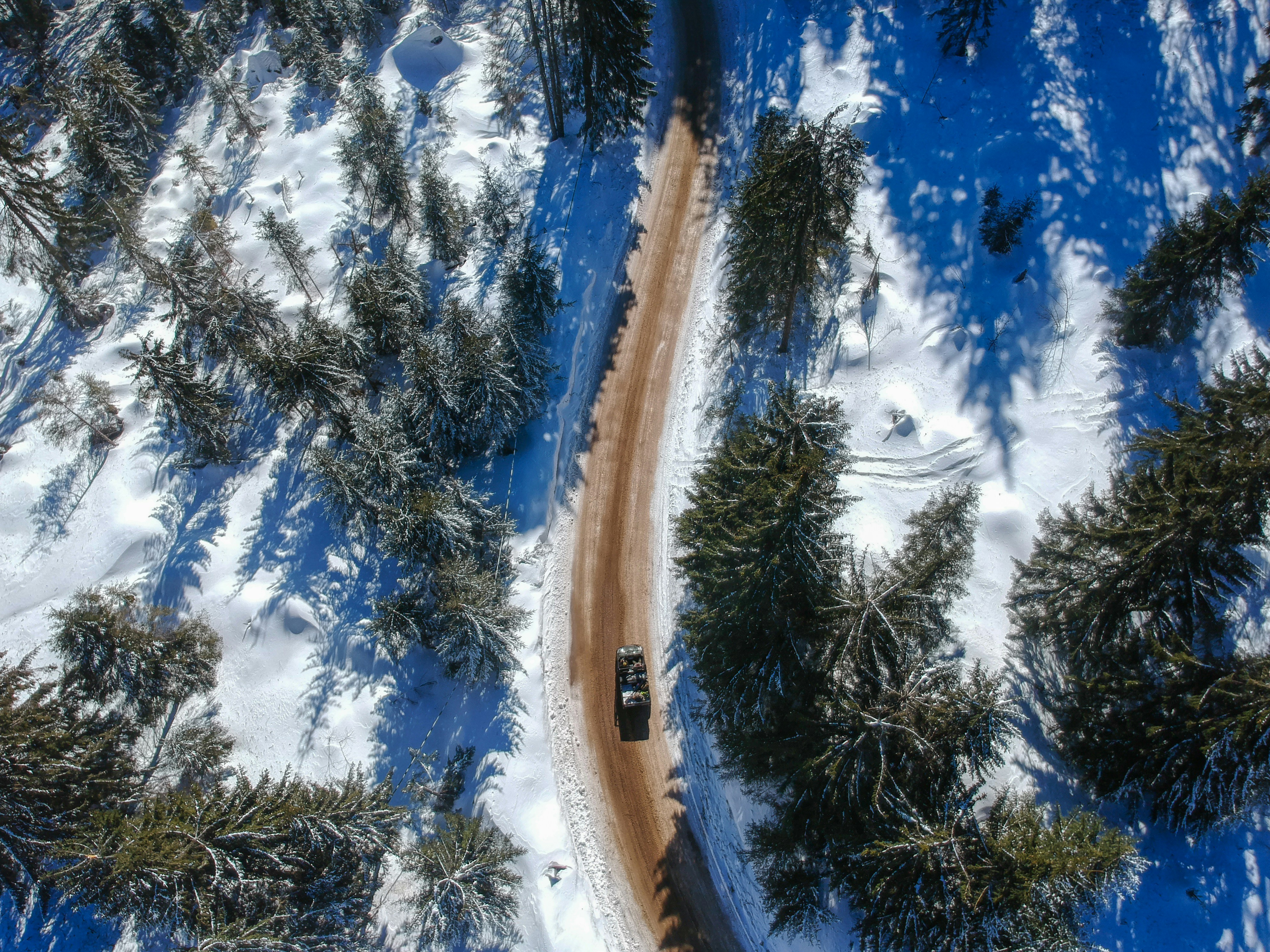 Photo by vasilevalcan