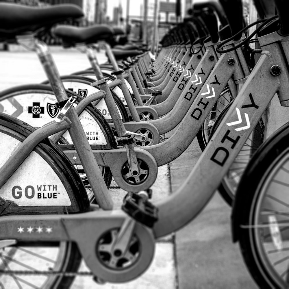 gray-white-and-black Divy bicycles