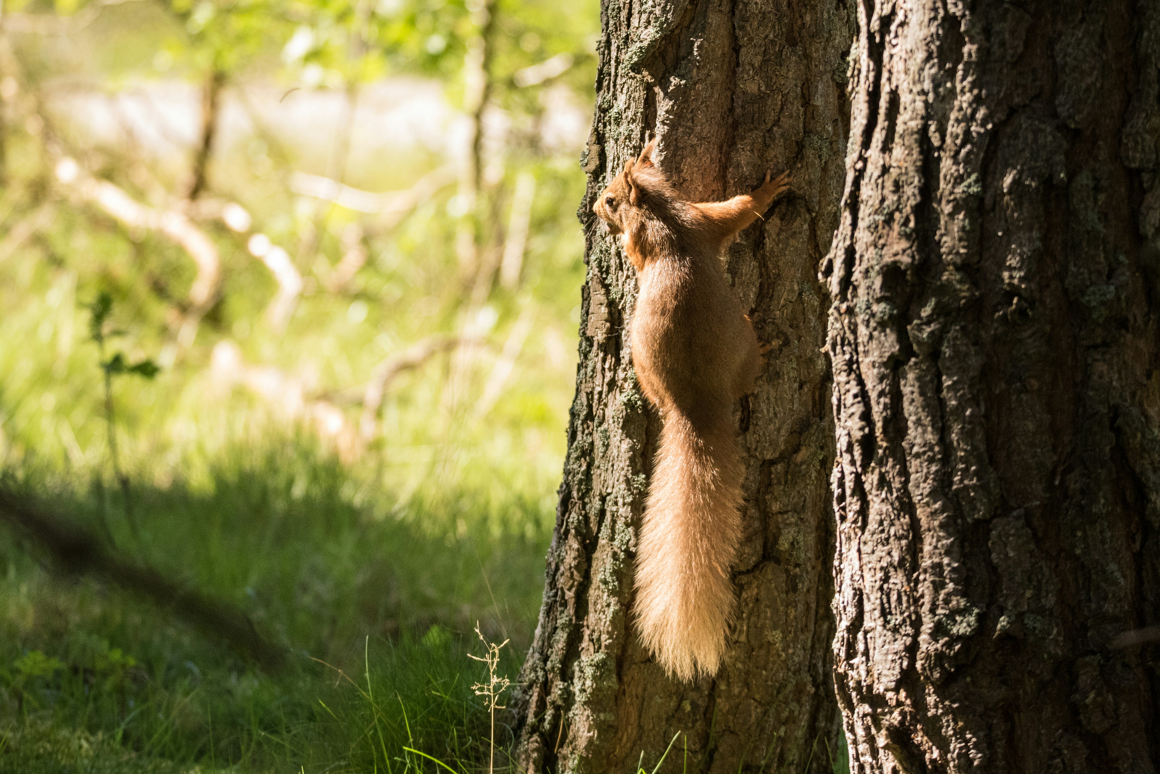 Photo by ramon_vloon