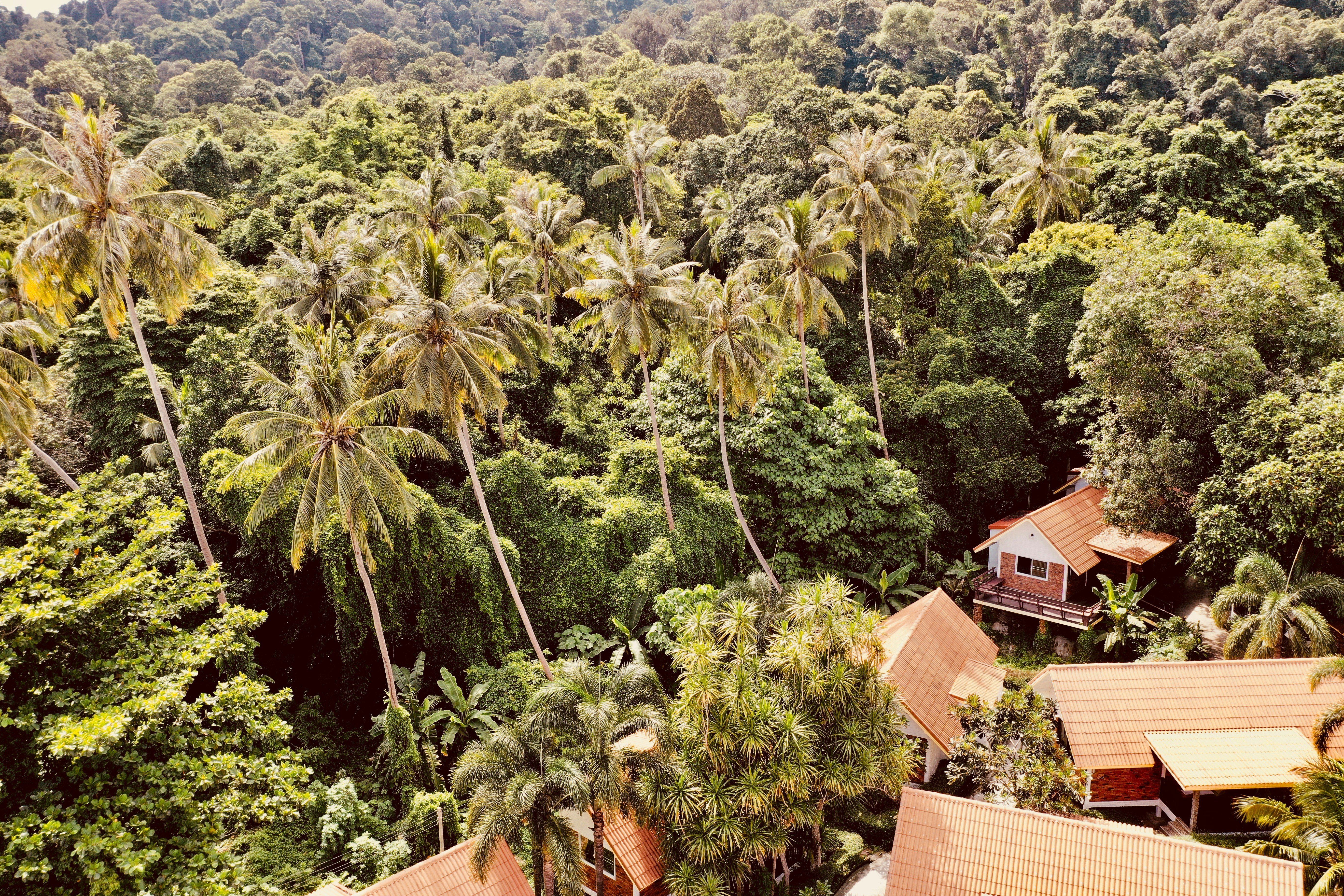 Adang Island Resort is a private and natural paradise on the south side of the island of Koh Adang, Thailand. Located just north of Koh Lipe, you will find breathtaking views of the Southeastern Andaman Sea, an area well known for its beautiful coral. Come stay with us for an ultimate vacation experience.