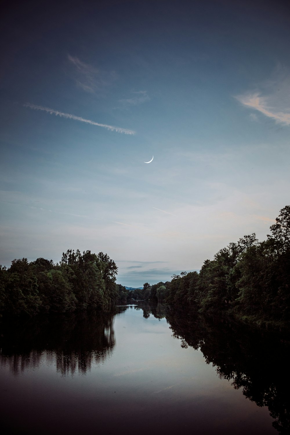 specchio d'acqua oltre agli alberi verdi durante il giorno