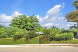 Lush green plants and bushes adorn a landscaped garden, with a variety of foliage including large trees and neatly trimmed hedges. The sky is bright blue with fluffy white clouds, and a building corner with hanging flowers is visible.
