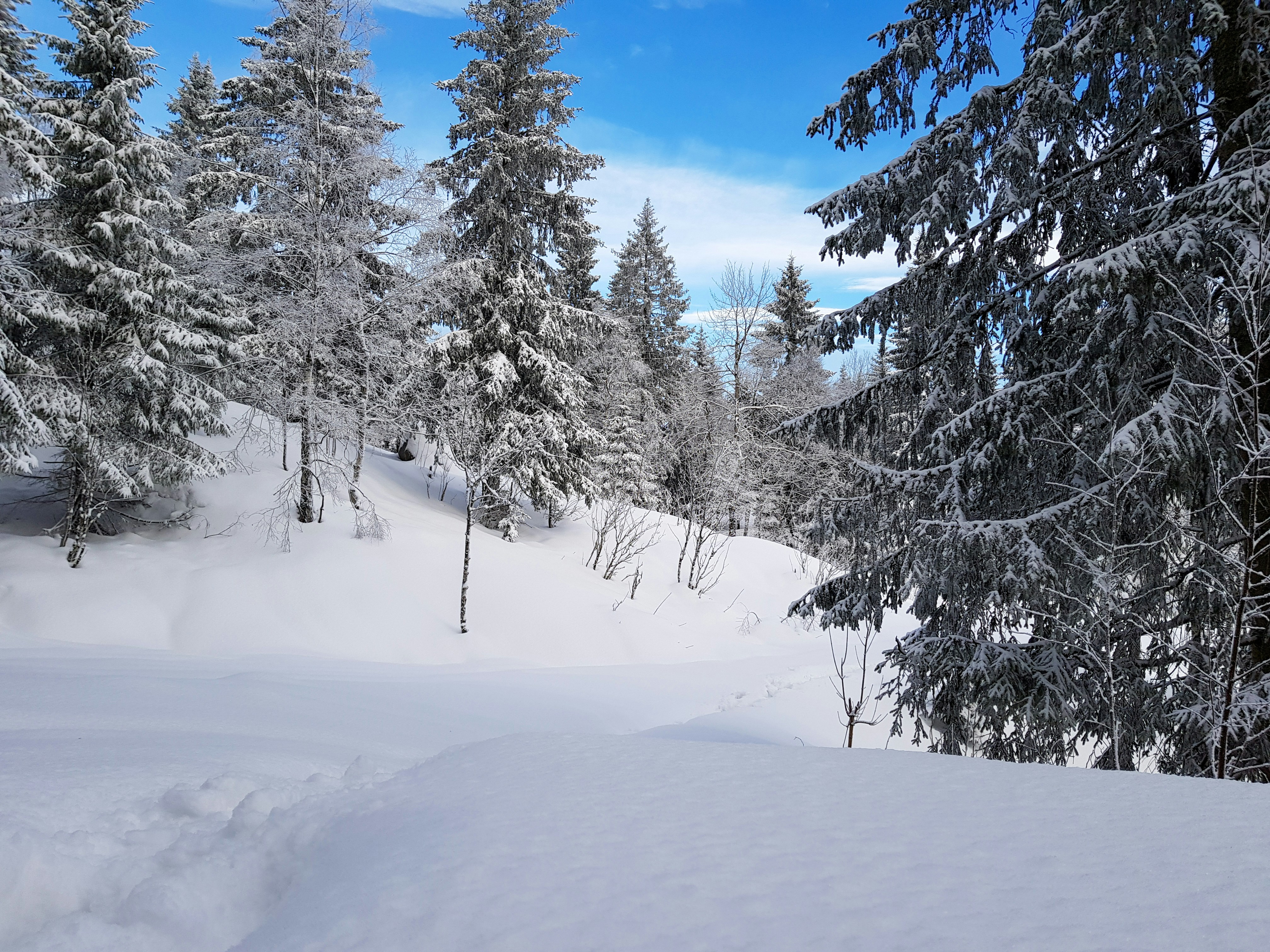 Photo by mrmarkdejong