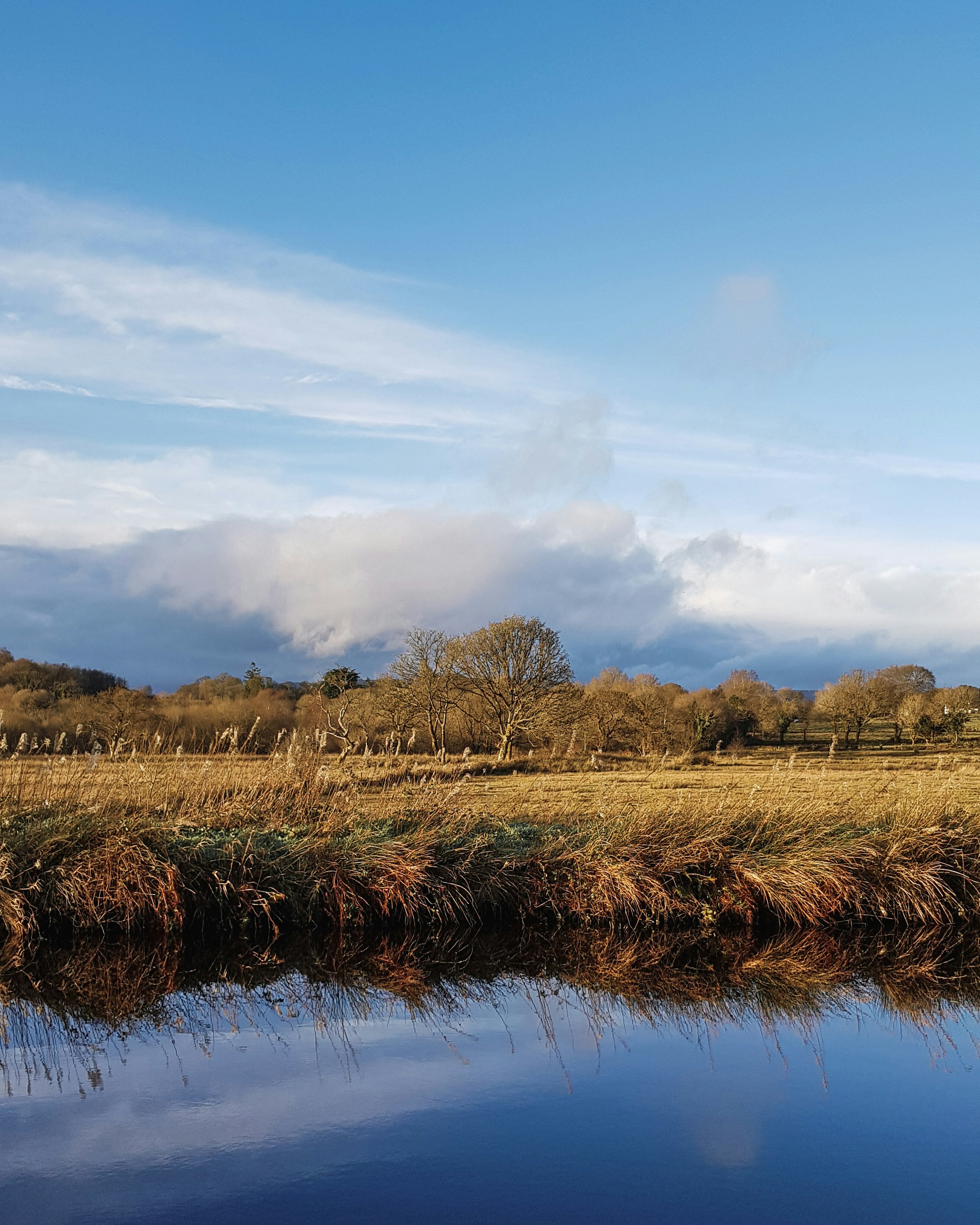 Photo by mrmarkdejong