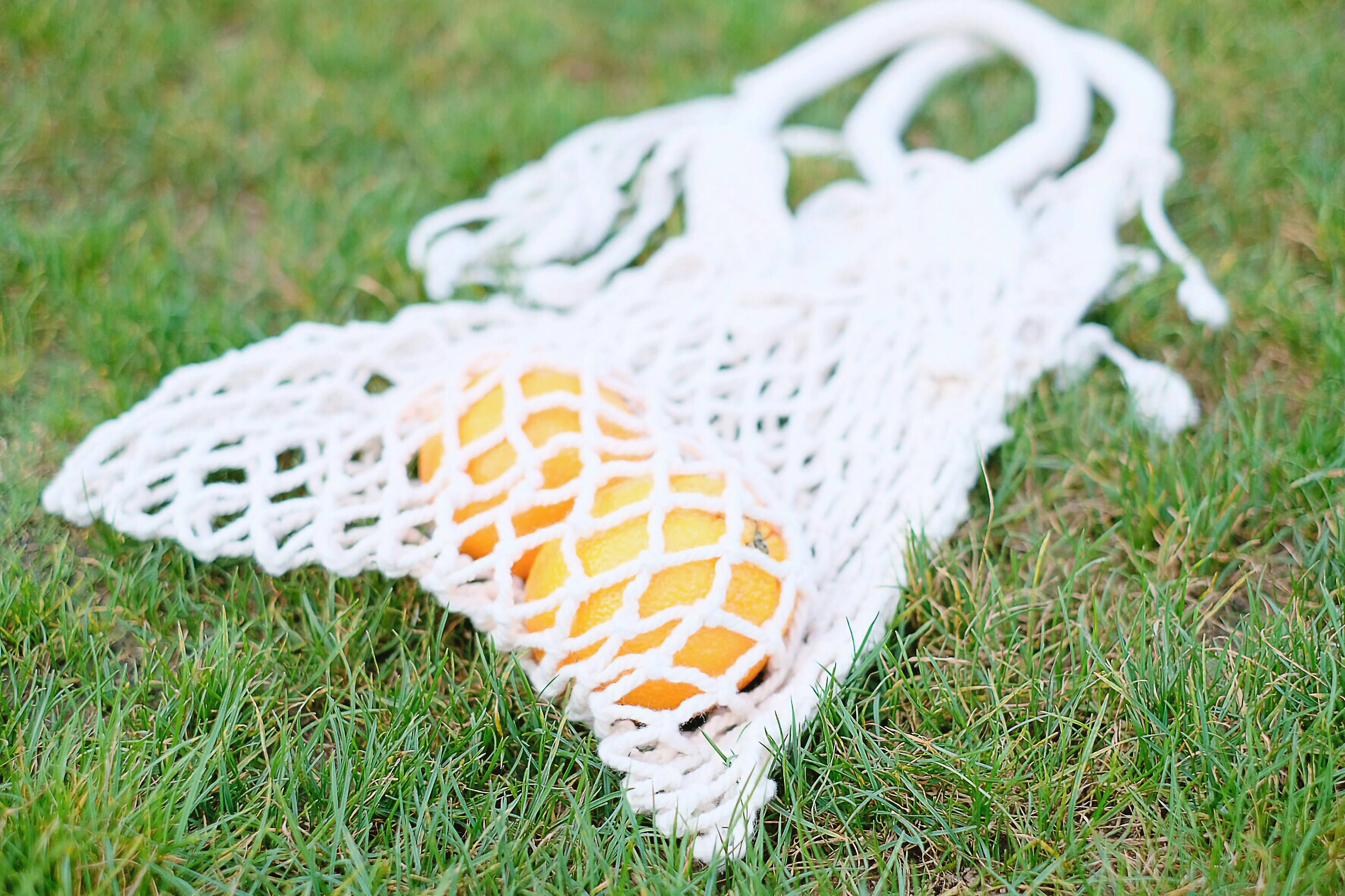 orange oranges inside white mesh net on green grasses