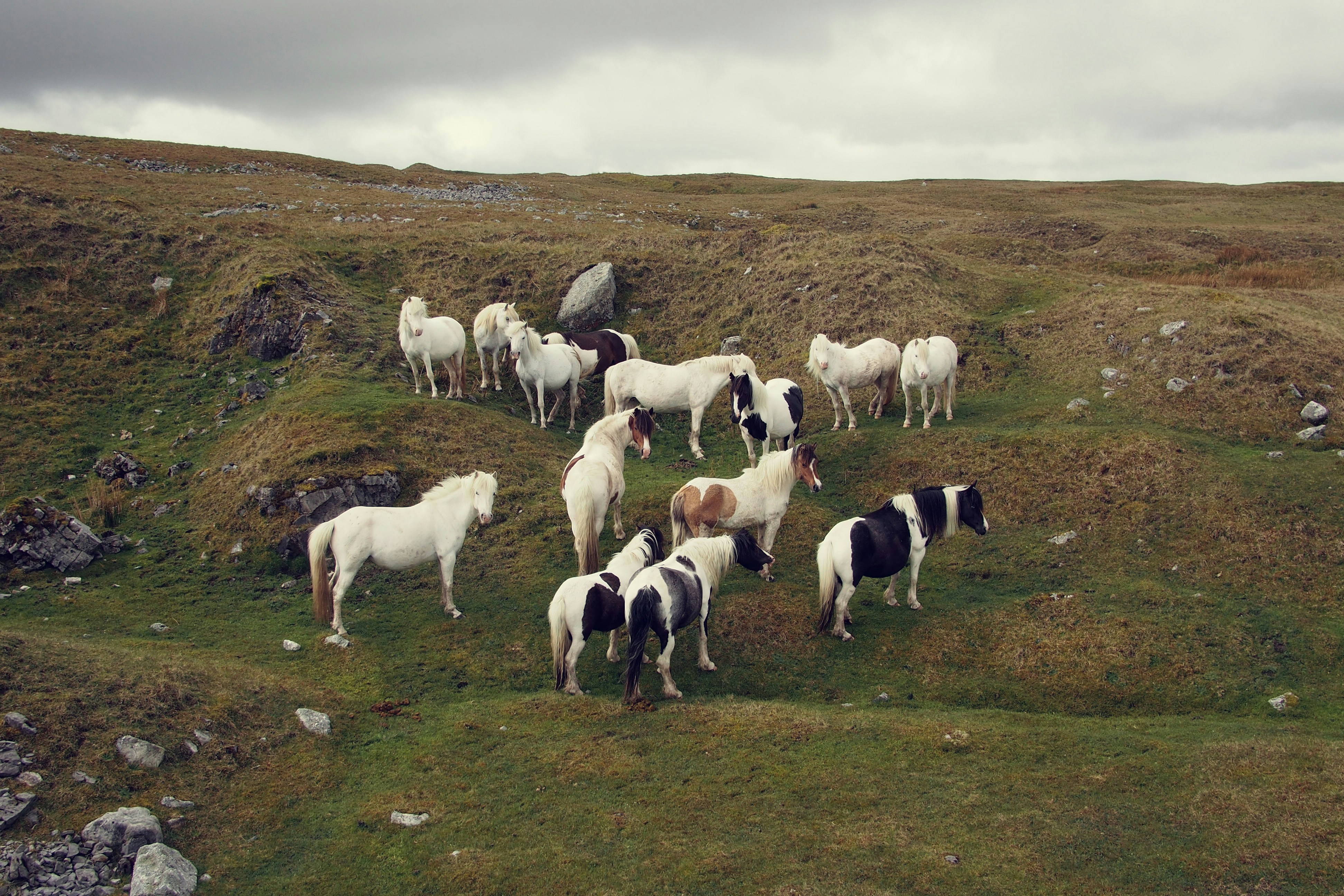 Photo by sarahholmes