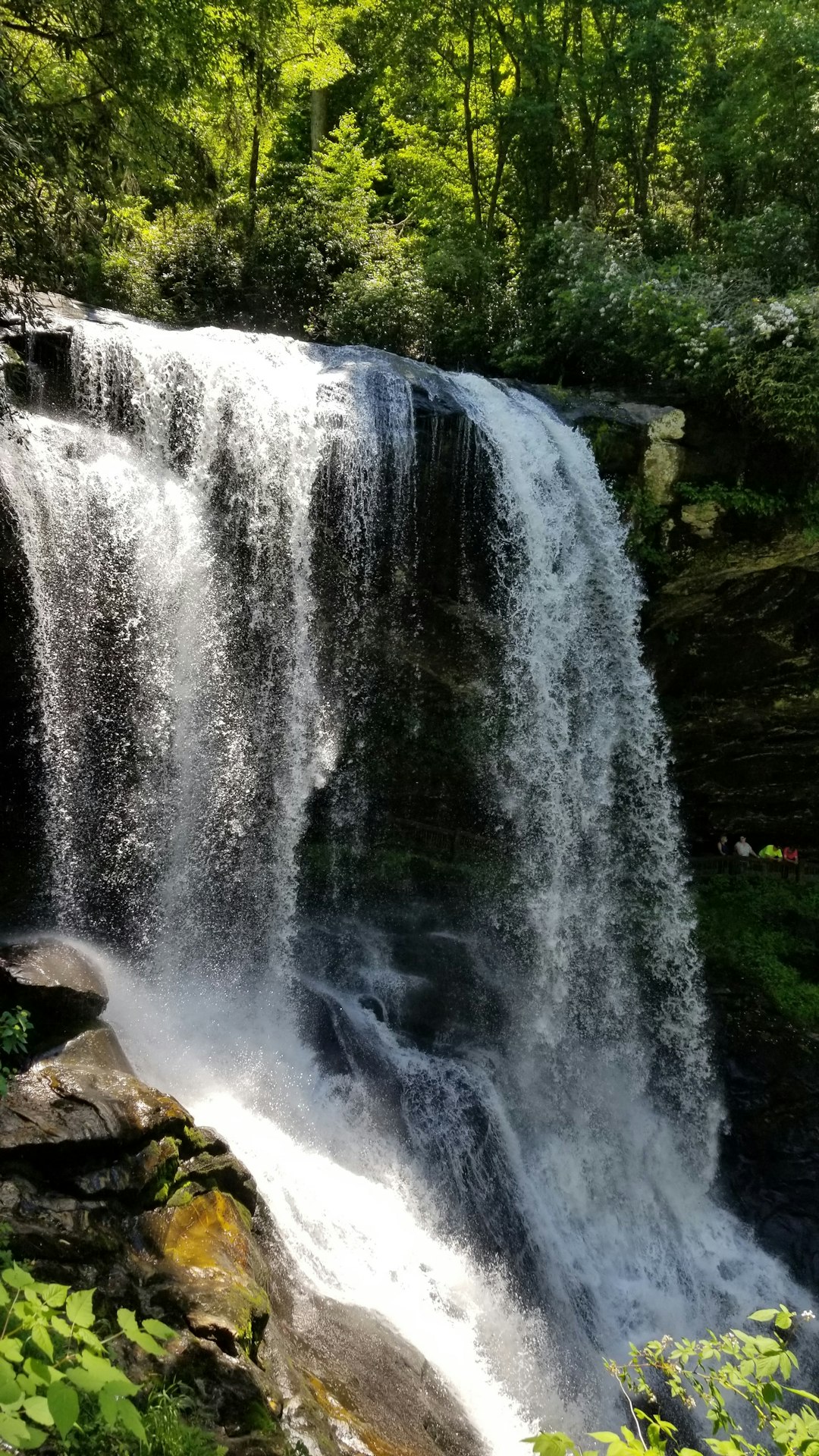 Waterfall photo spot 560 Mt Lori Dr Great Smoky Mountains National Park