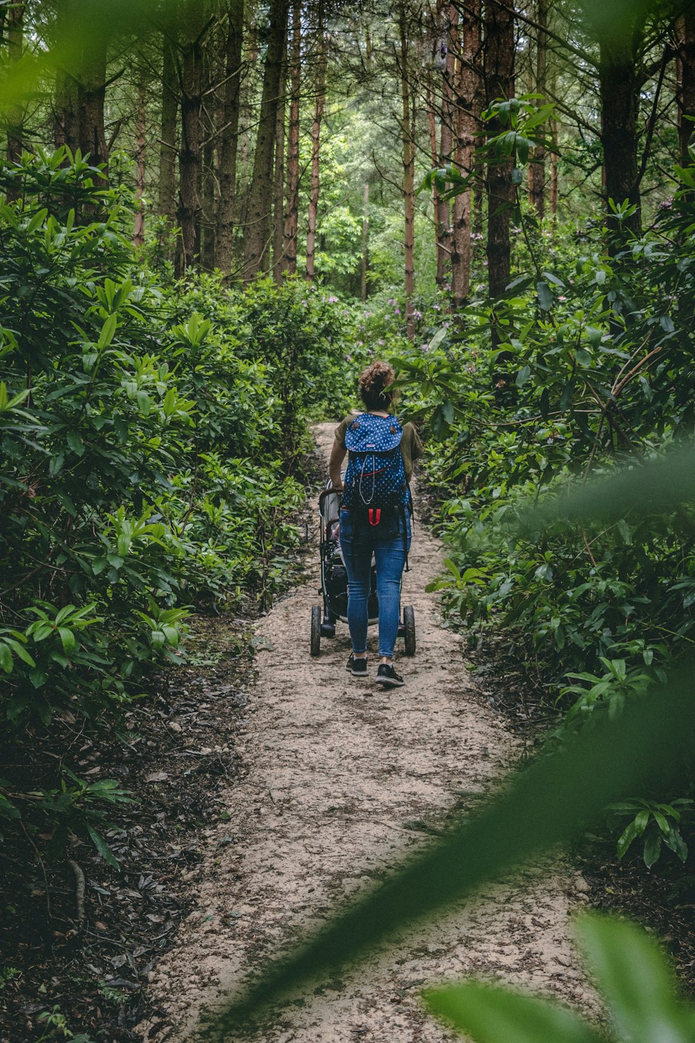 woman walking near trees