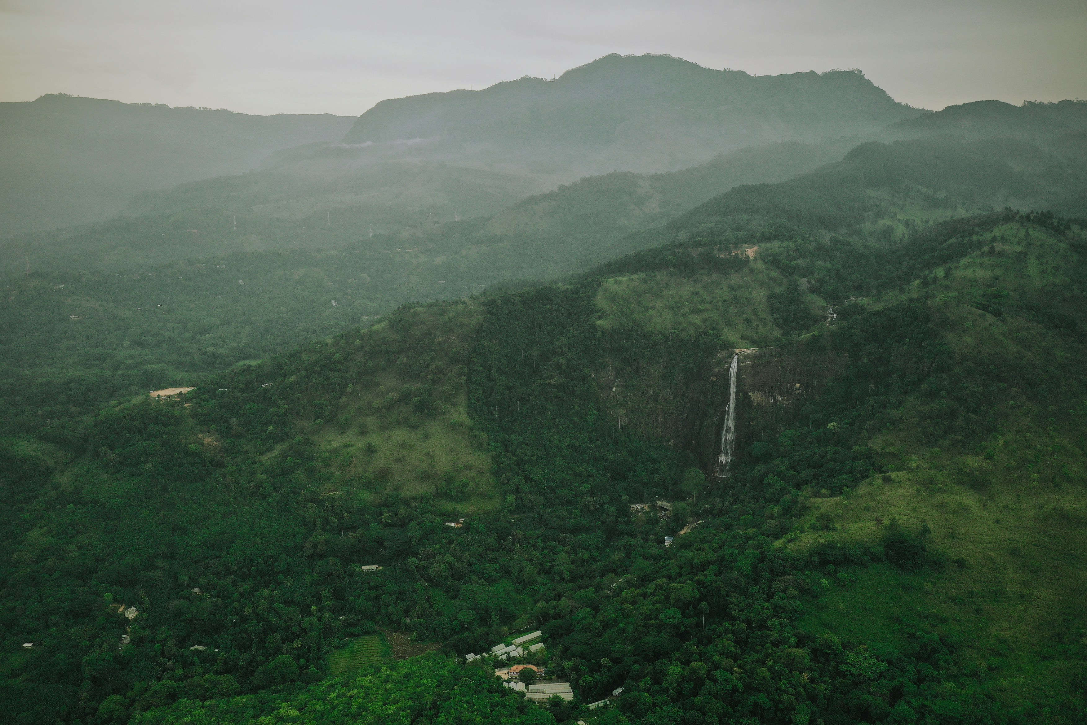 Photo by karl_janisse