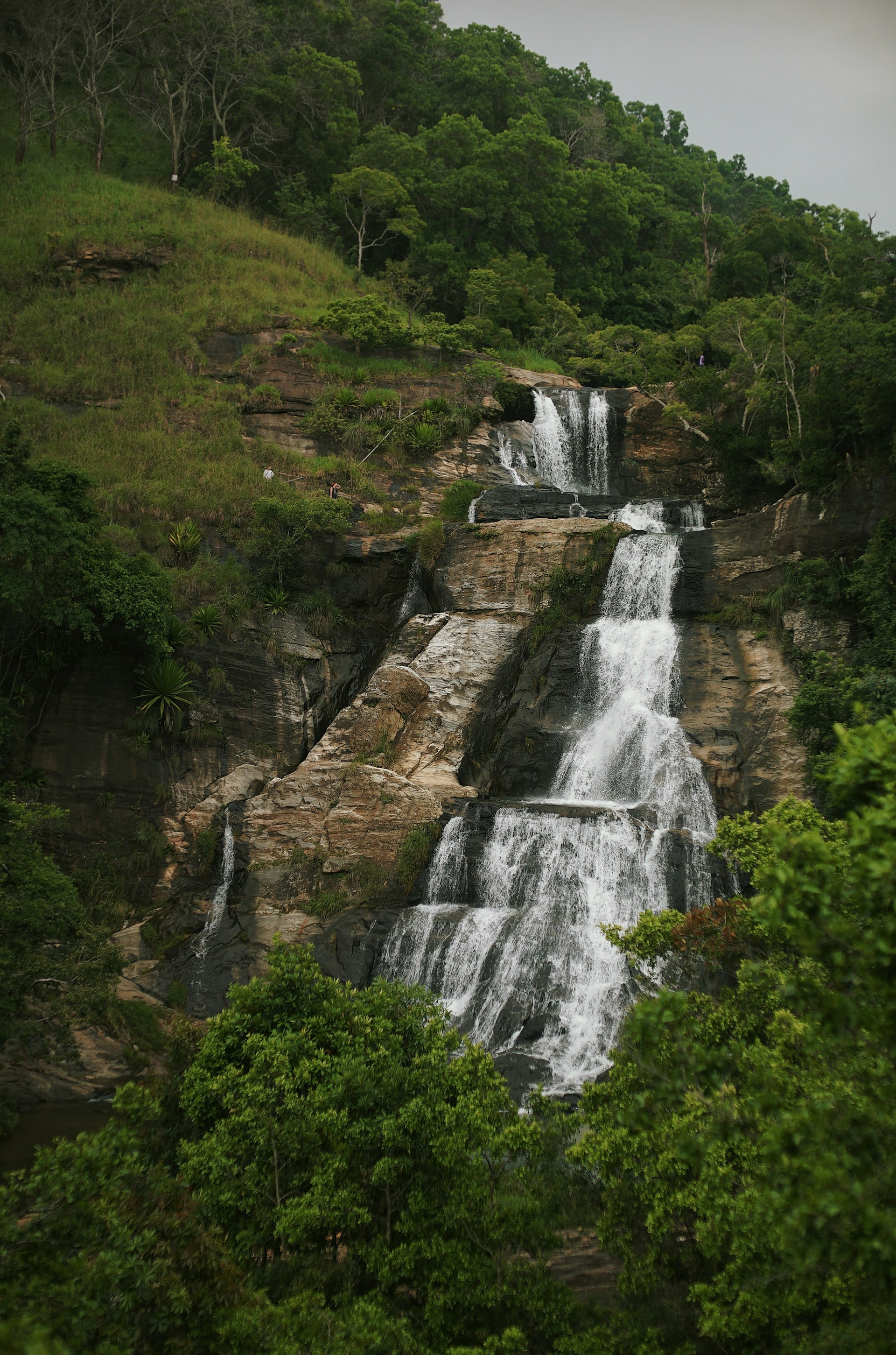 Photo by karl_janisse