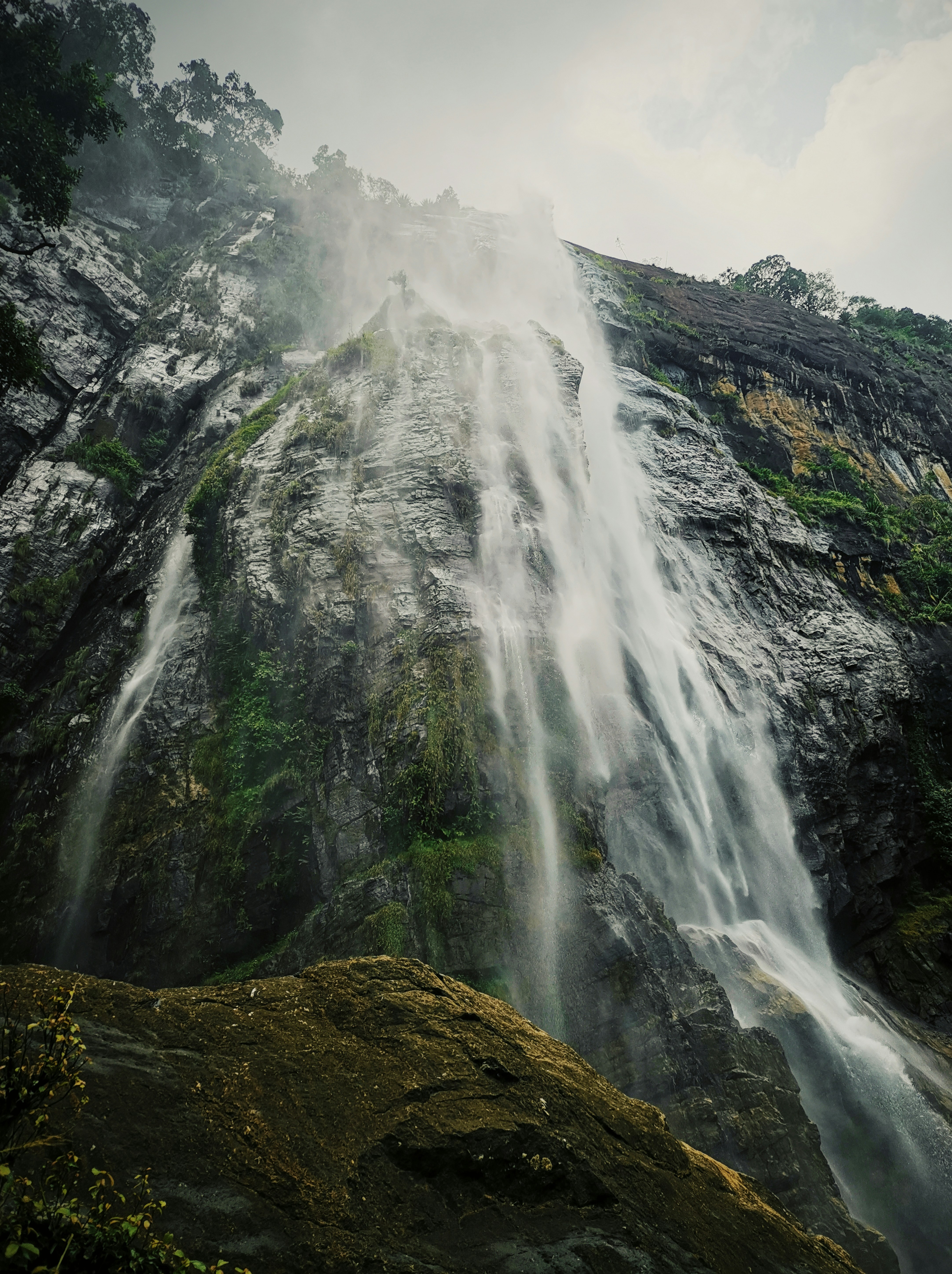 Photo by karl_janisse