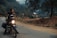 A person is sitting on a motorcycle parked on a rural road, gazing into the distance. The setting is serene, surrounded by trees and hills, with a soft, overcast sky. The motorcycle is equipped with luggage on the back, suggesting a journey or adventure. Dirt and foliage line the road, hinting at a remote or countryside location.