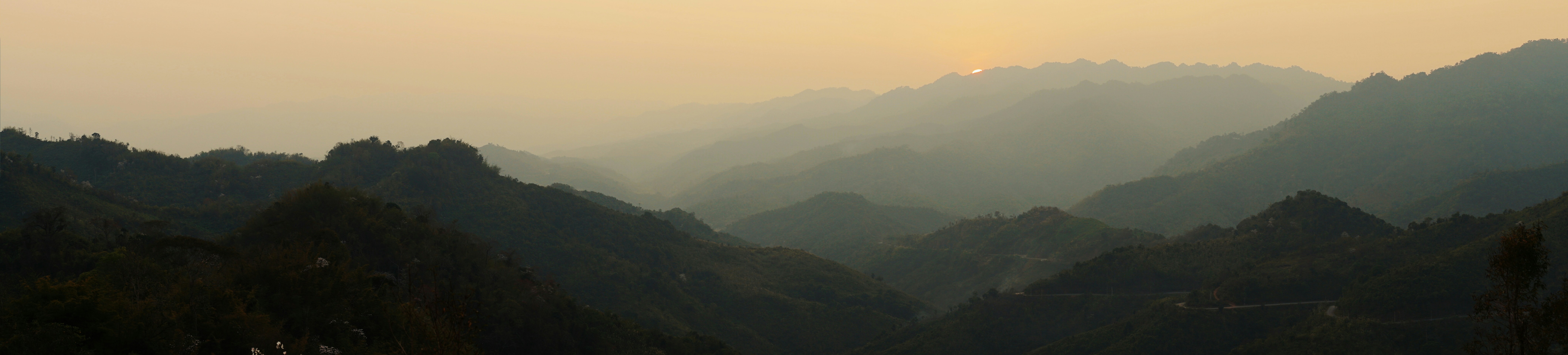 Photo by karl_janisse