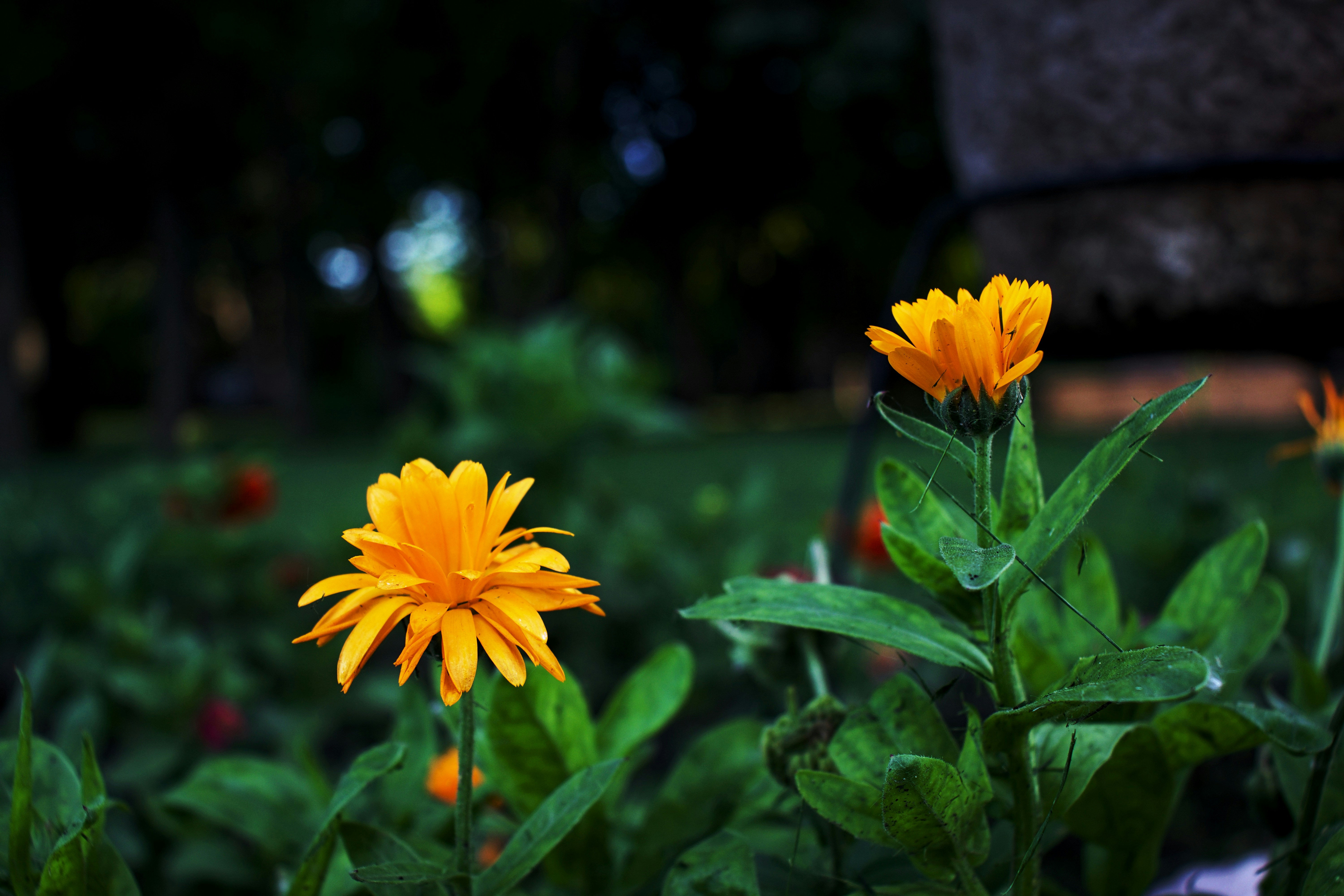 Photo by cole_wyland_24