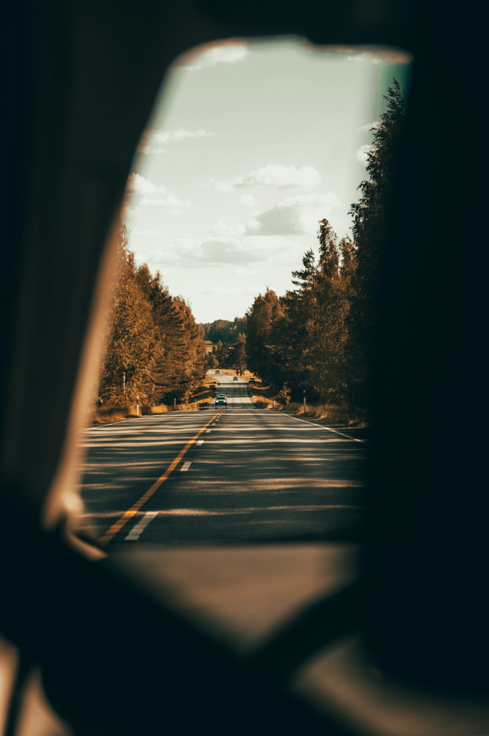 landscape photo of a gray road lined by trees