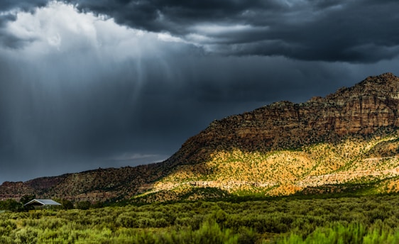 Summer thunderstorm