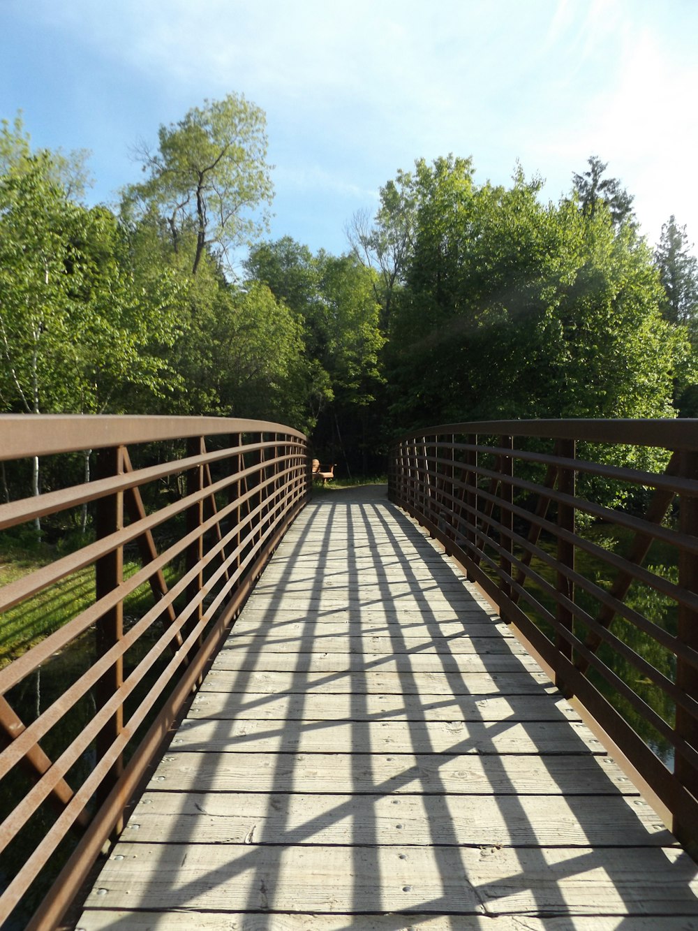 brown wooden bridge during daytime