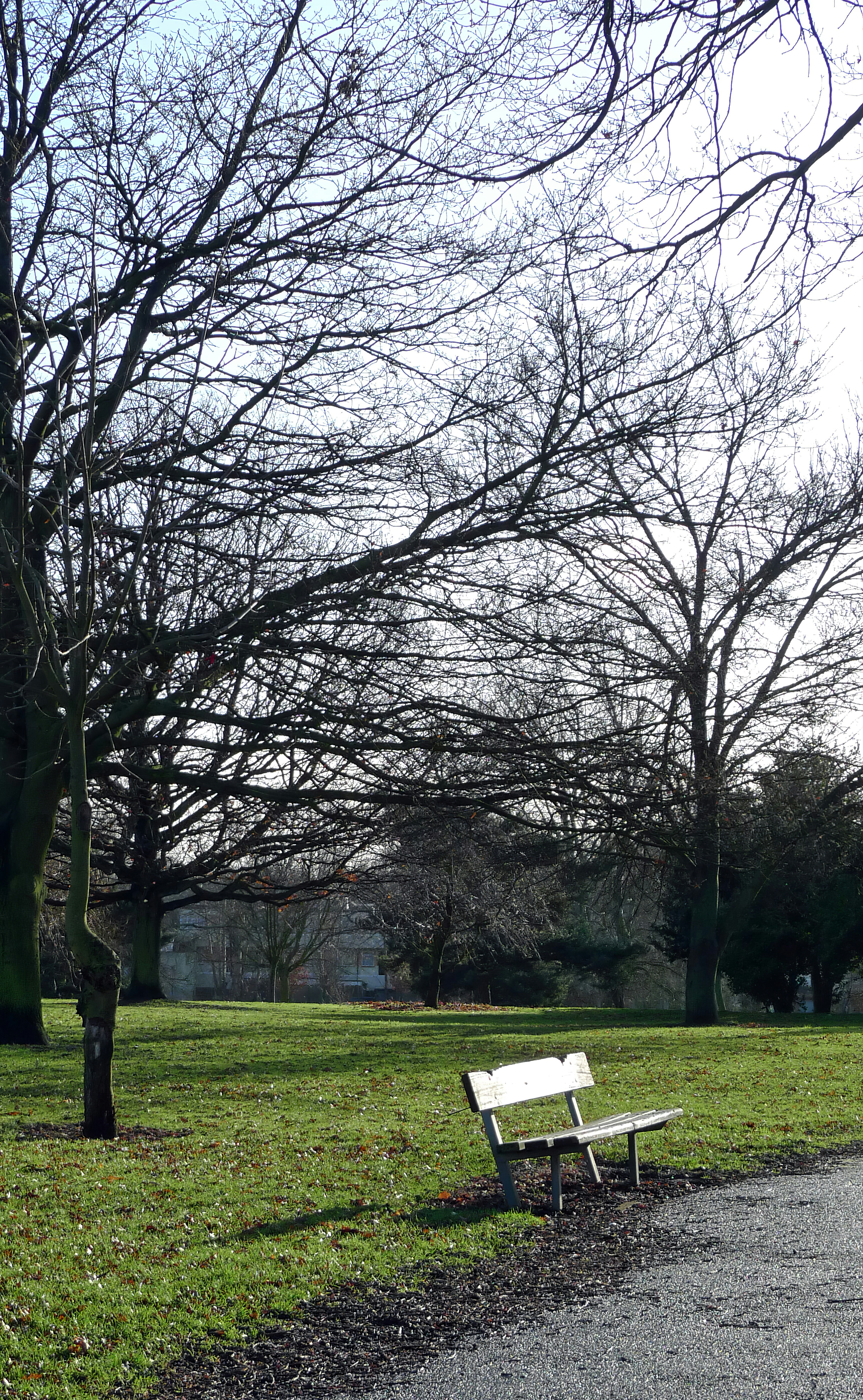 Photo by brett_jordan