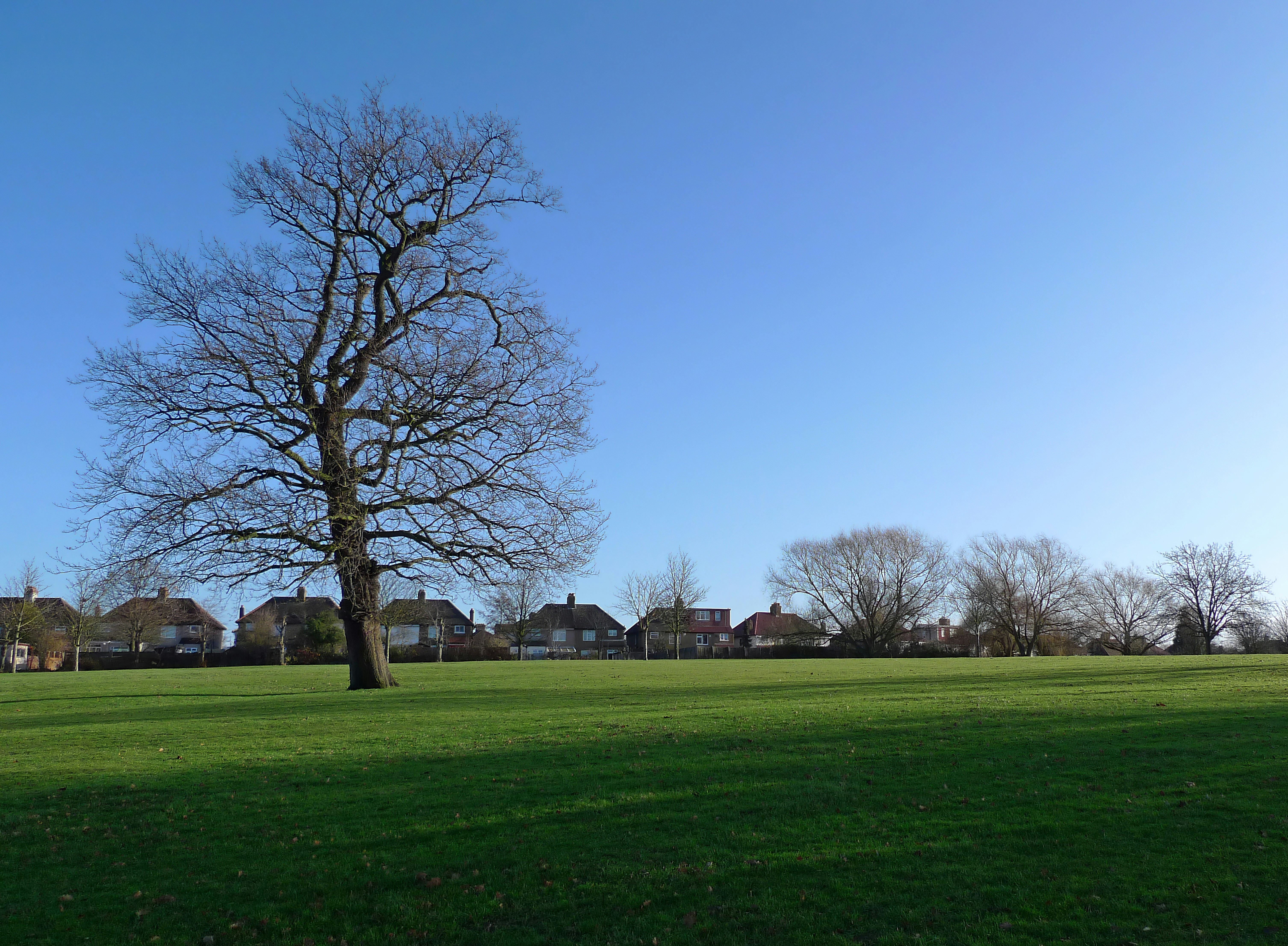 Photo by brett_jordan