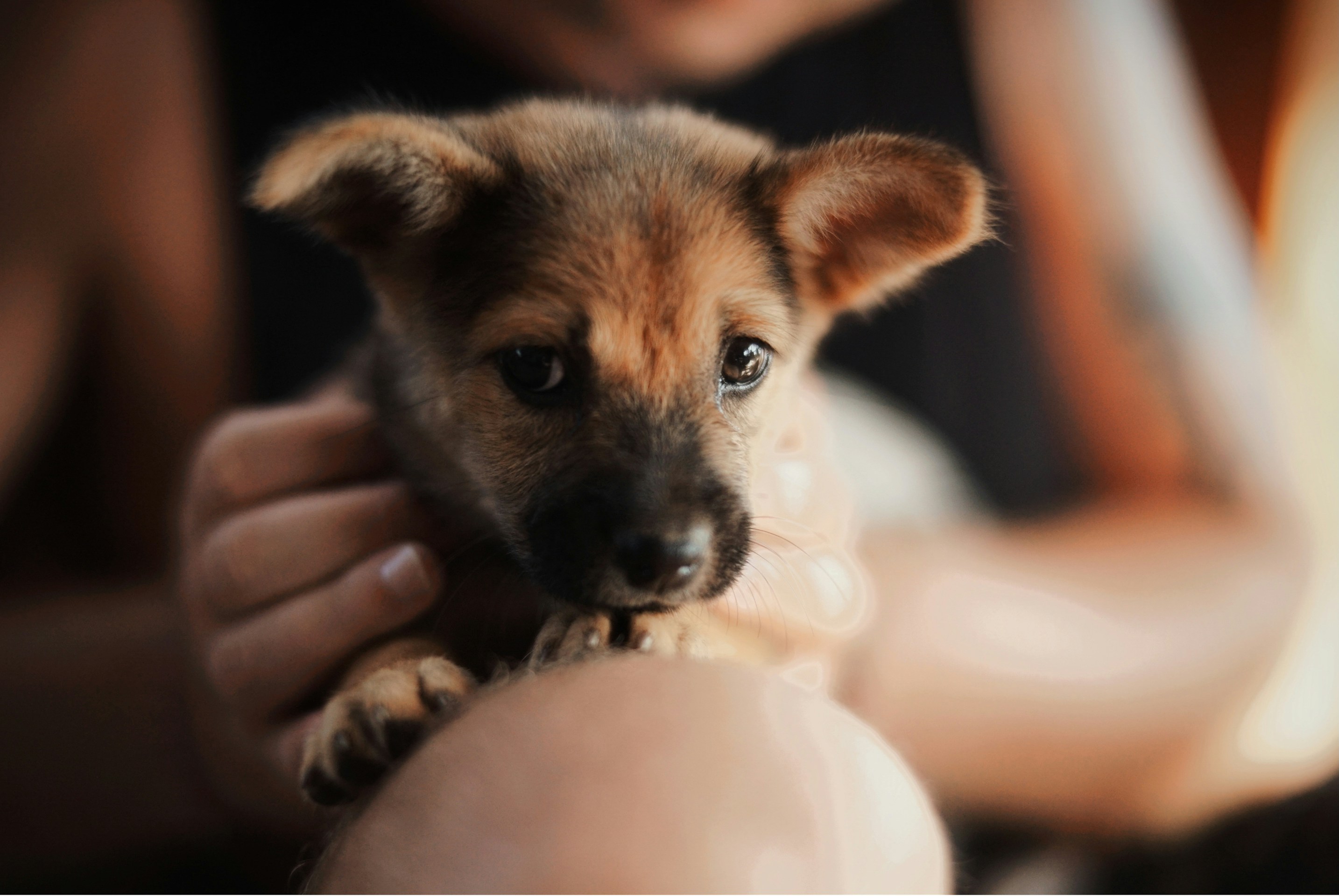 Photo by karl_janisse